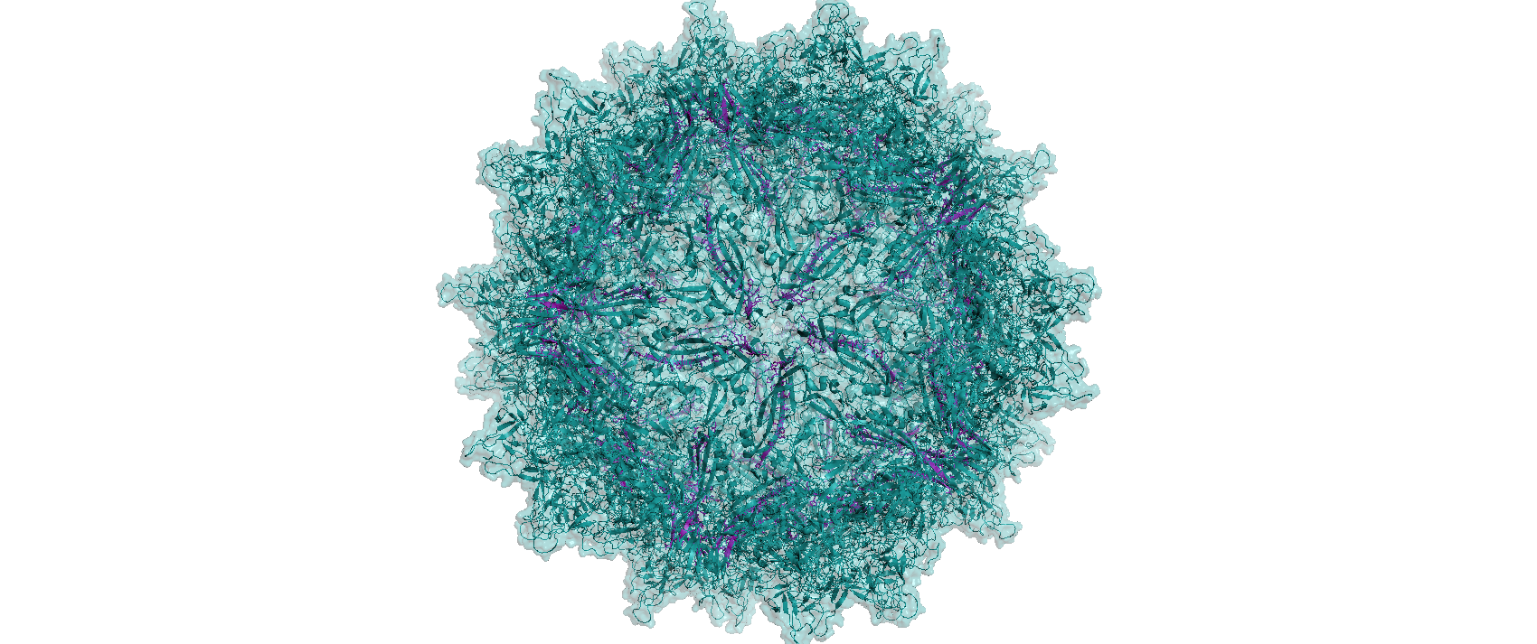Can the immunogenicity of AAV vectors be mitigated? 