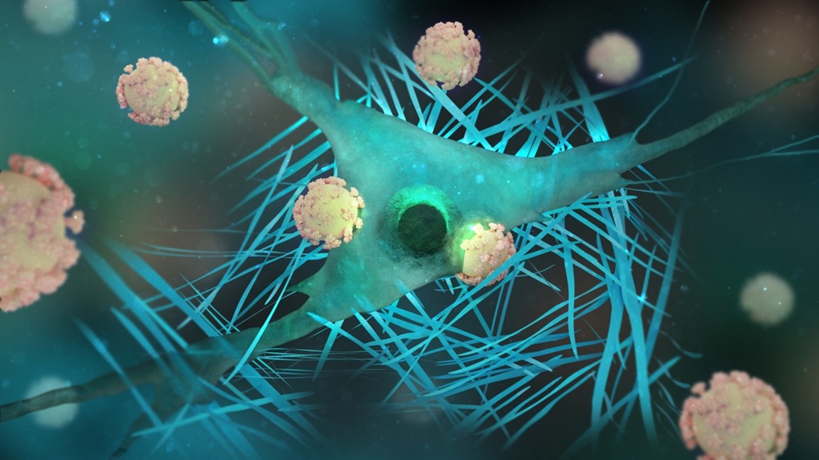 Decoding Virus–Peptide–Cell Interactions