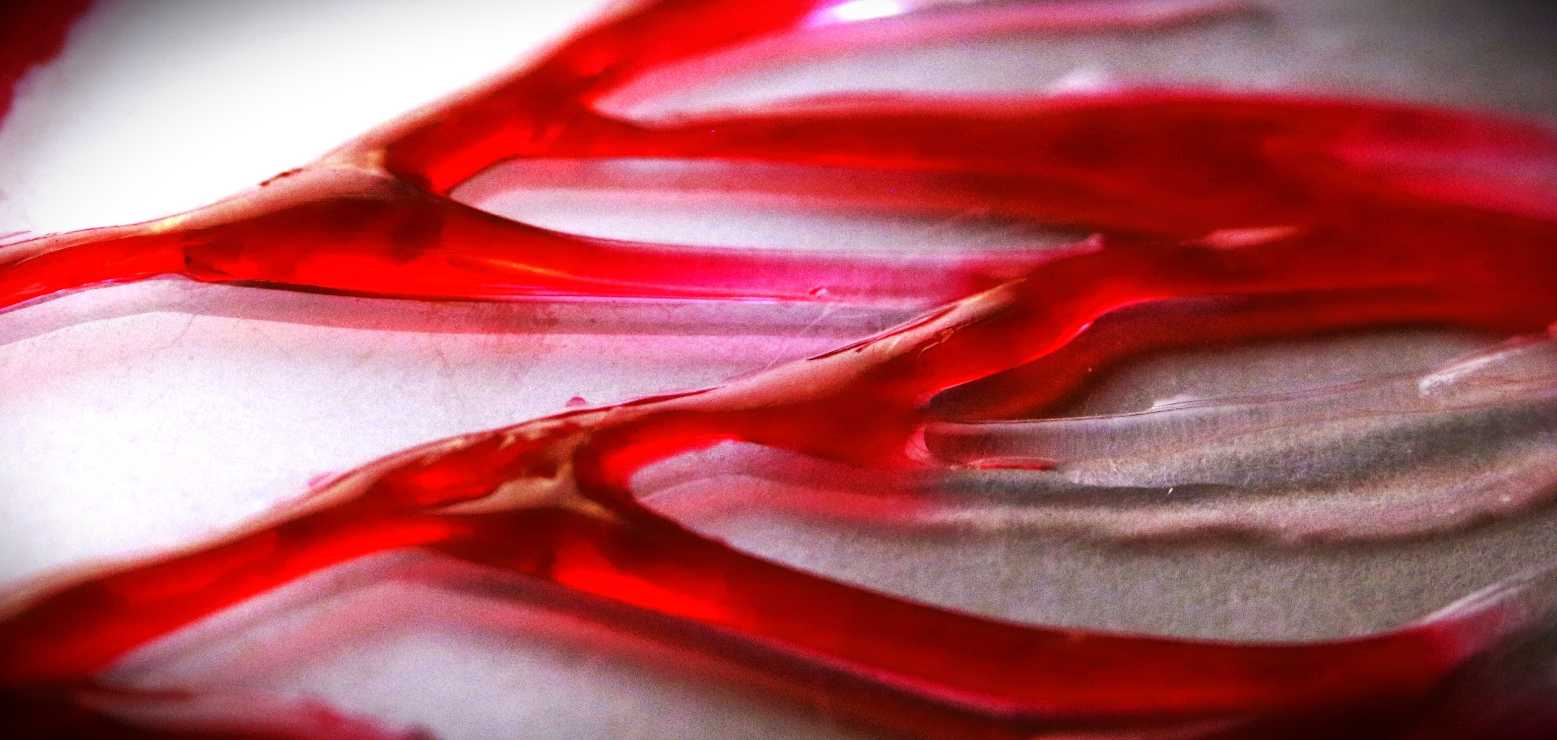 VasFluidics: Vascular network-inspired fluidic system