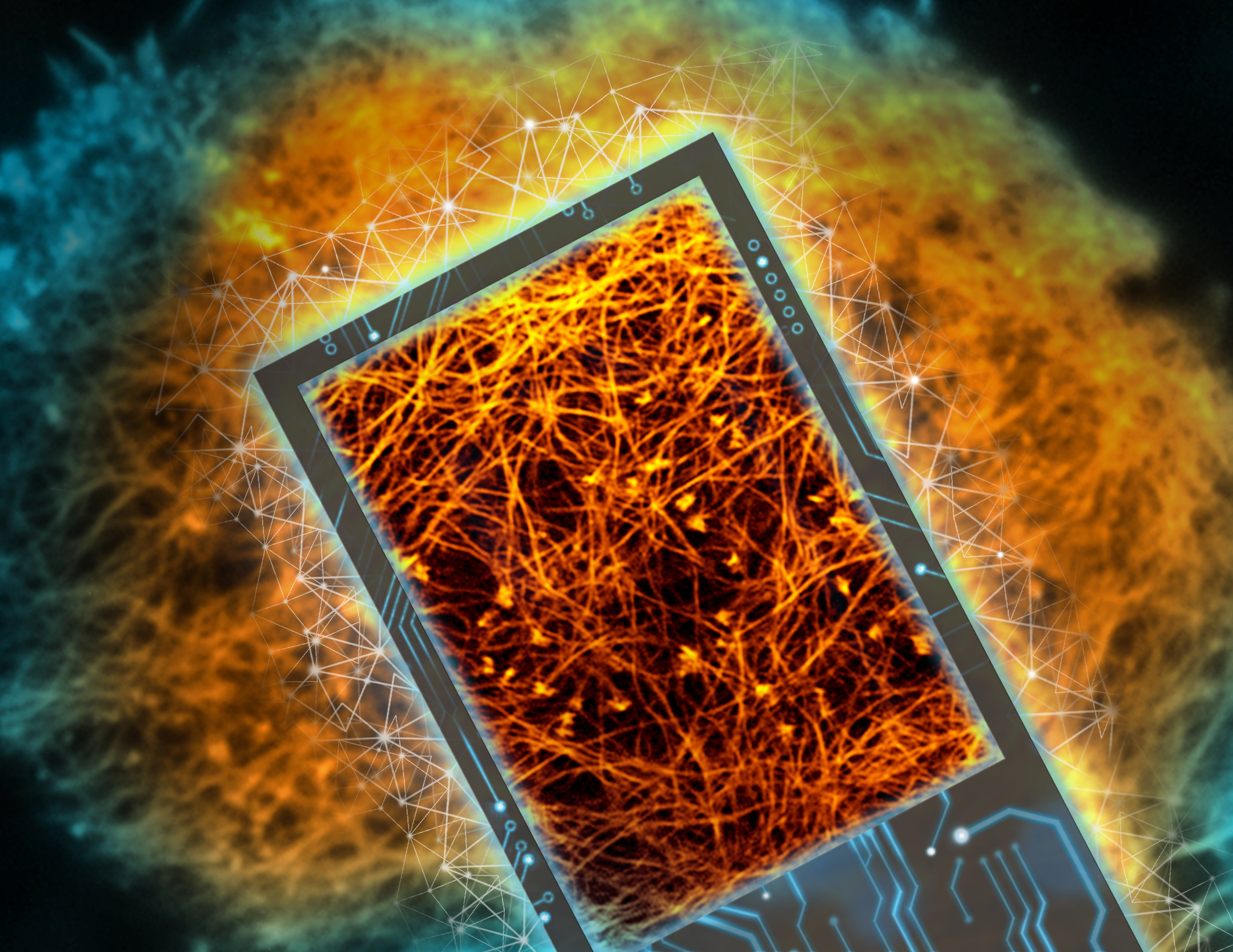 How to make deep learning in microscopy more rational?