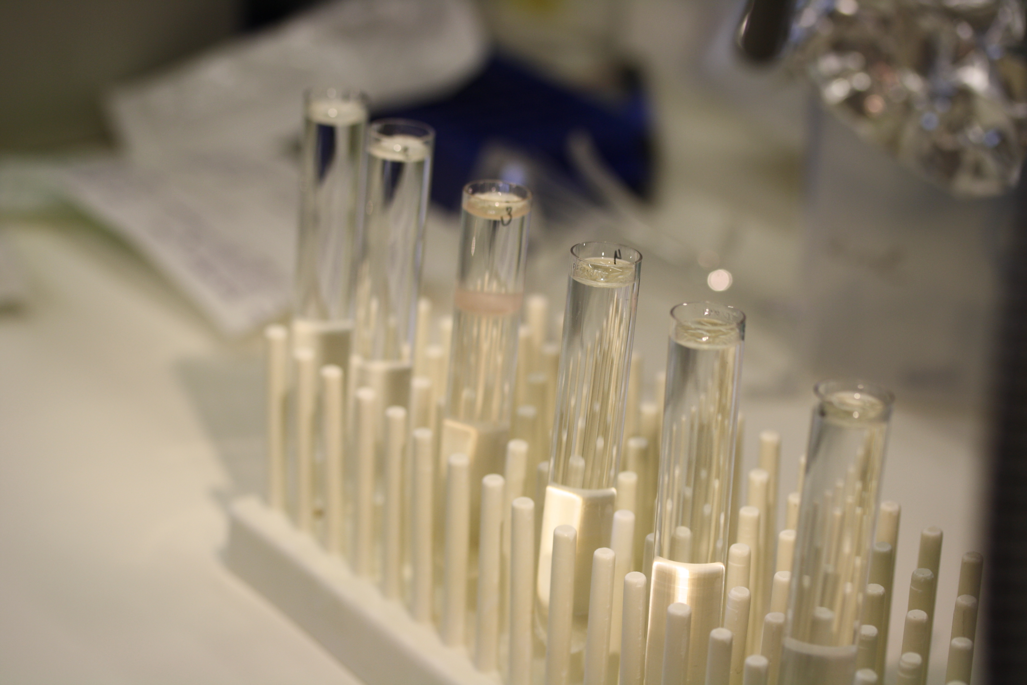  A hidden hitchhiker brought to light - on how we isolated a novel virophage