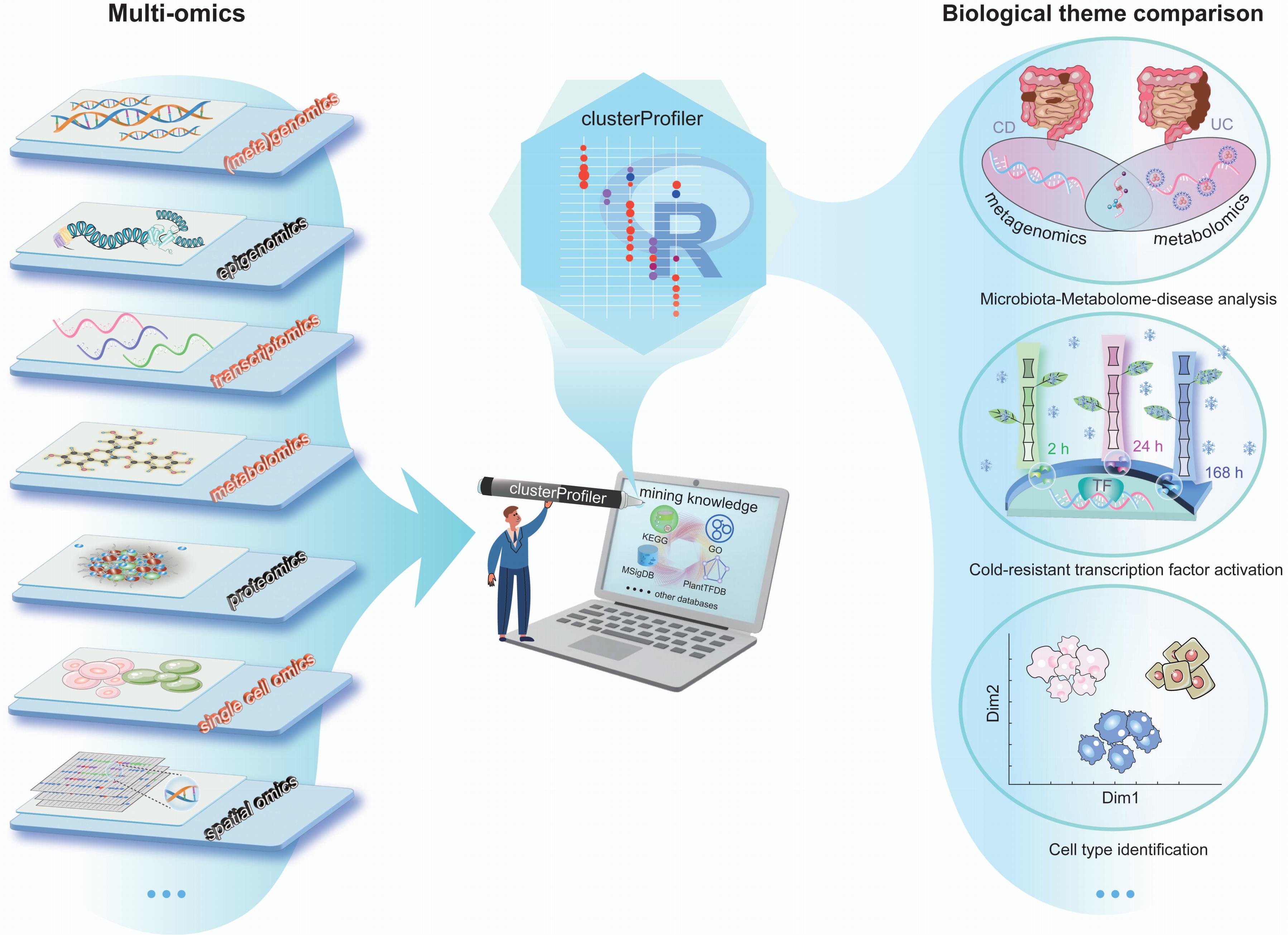 Using clusterProfiler to characterise Multi-Omics Data