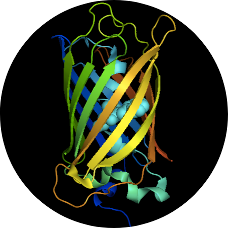 Go to the profile of Joαchim Goedhαrt