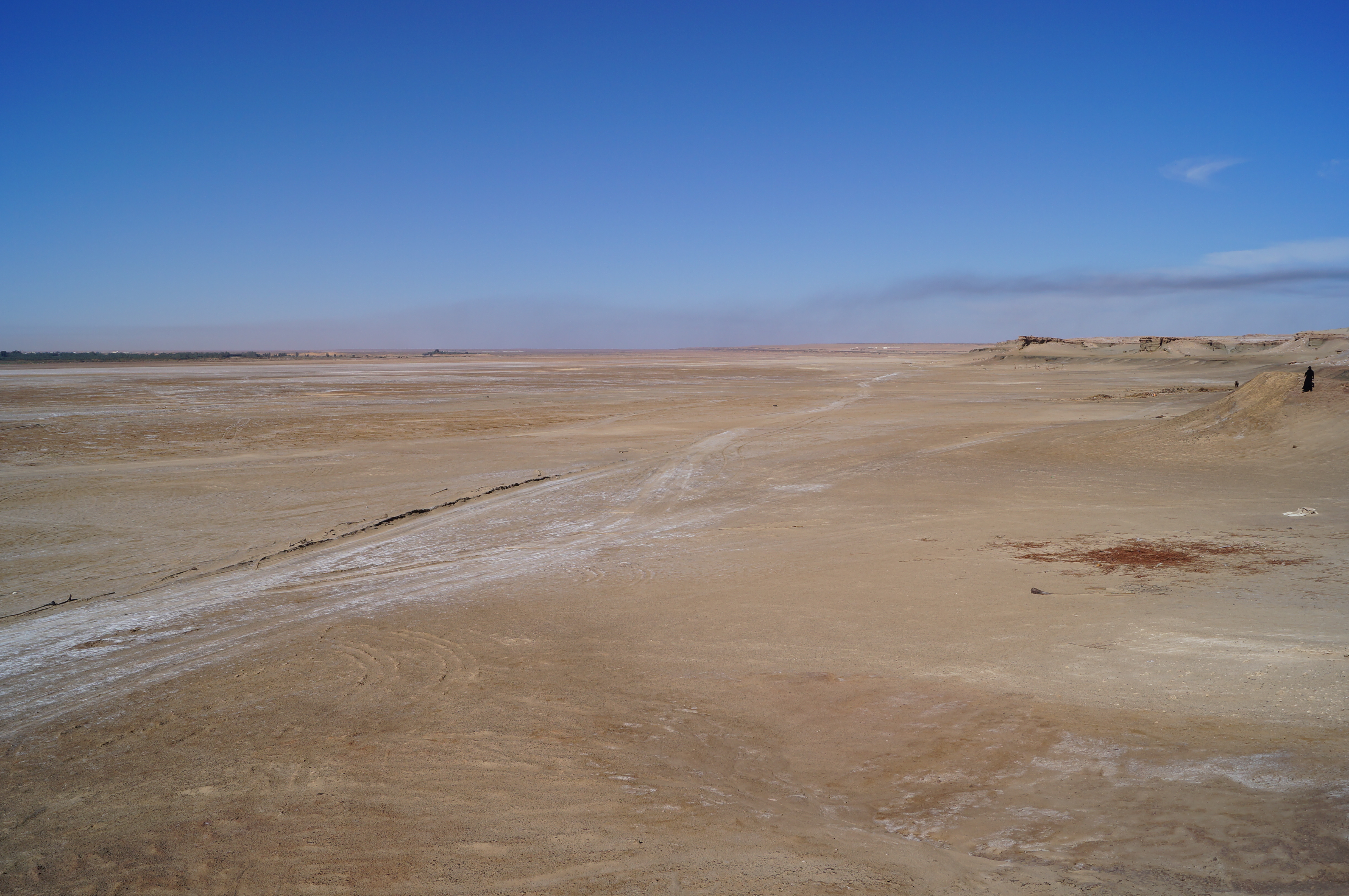 Hidden traces of Green Arabia