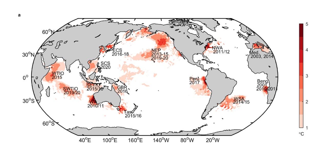 Diversity in vertical structures of global marine heatwaves