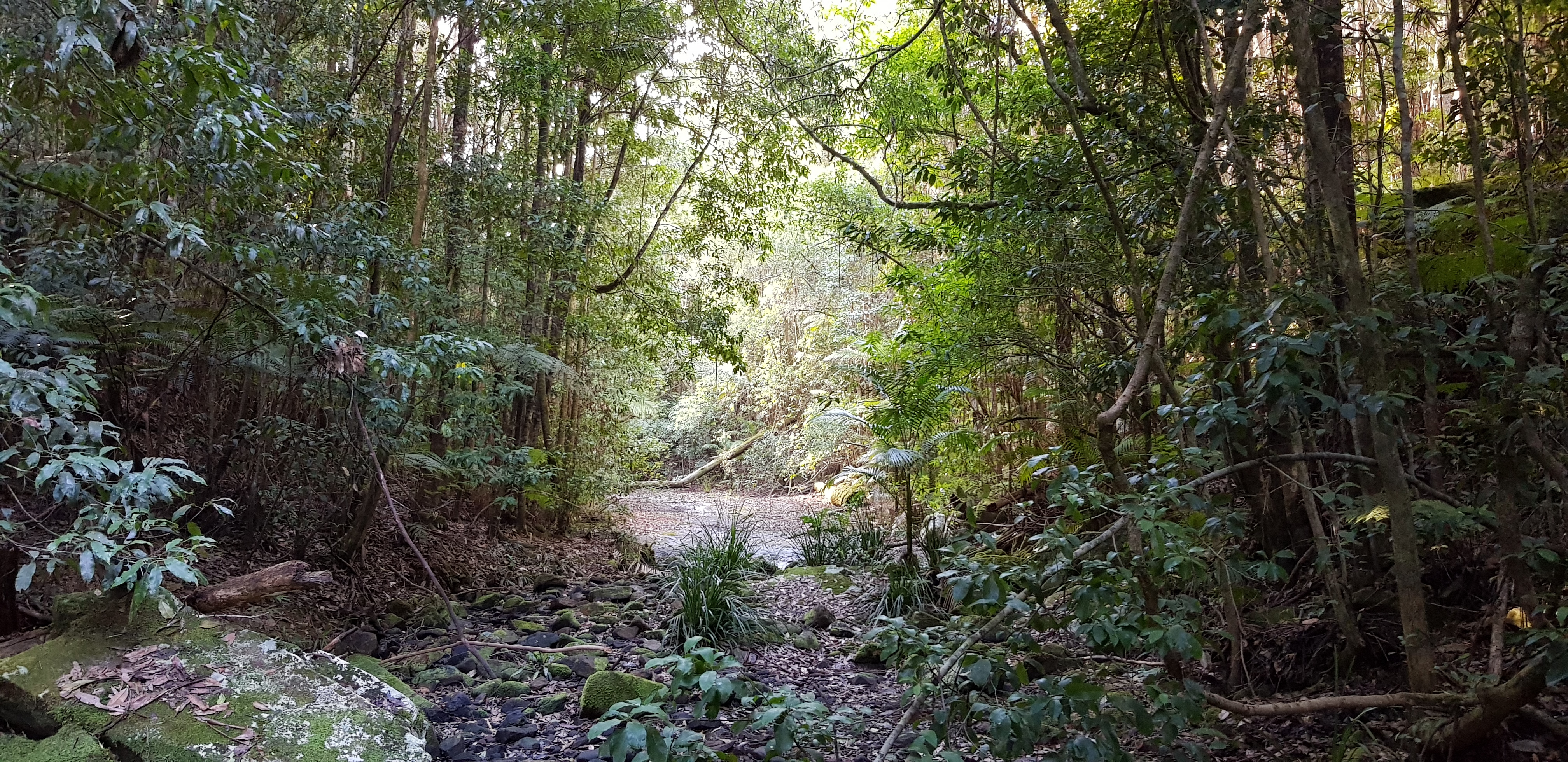 Which threatening processes should be research priorities to save more threatened species?