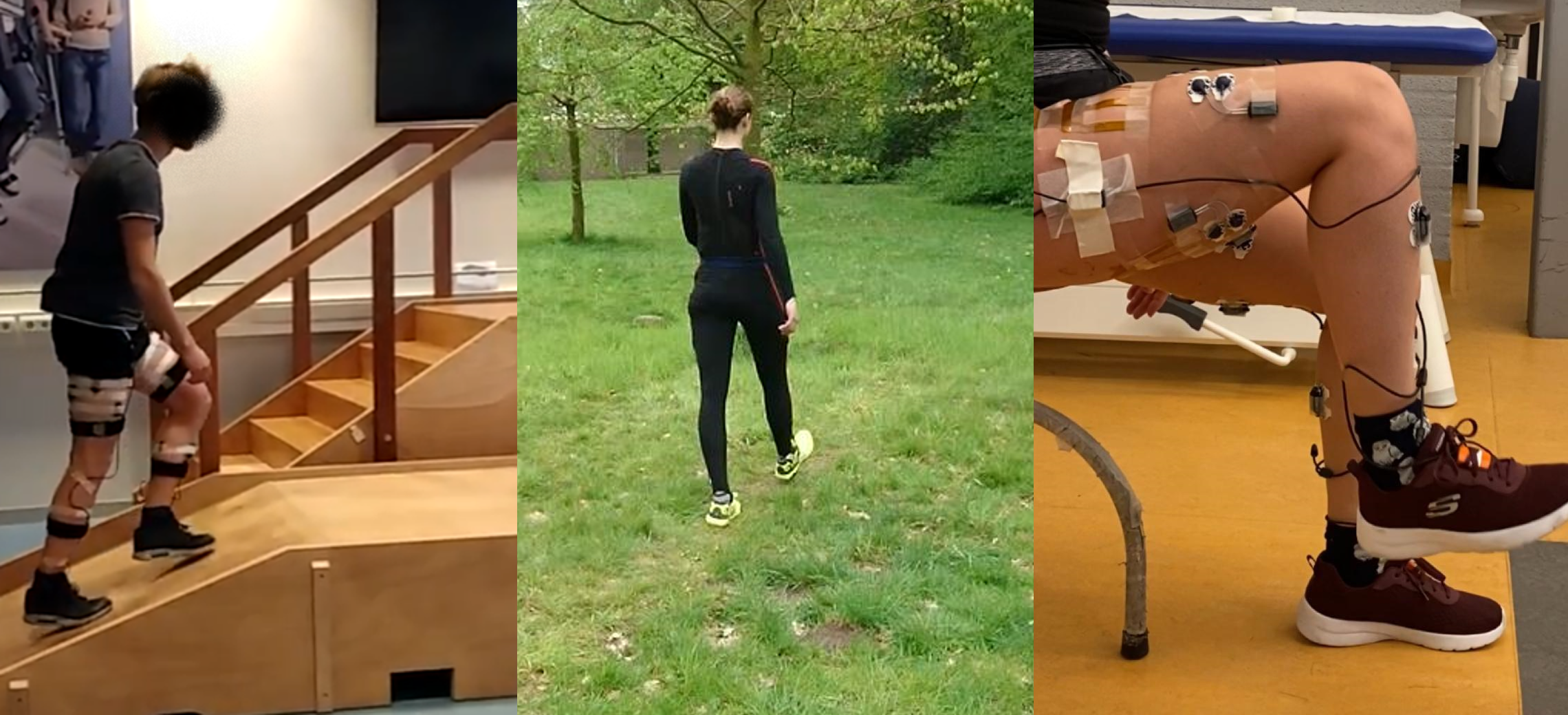 Database of lower limb kinematics and electromyography during gait-related activities