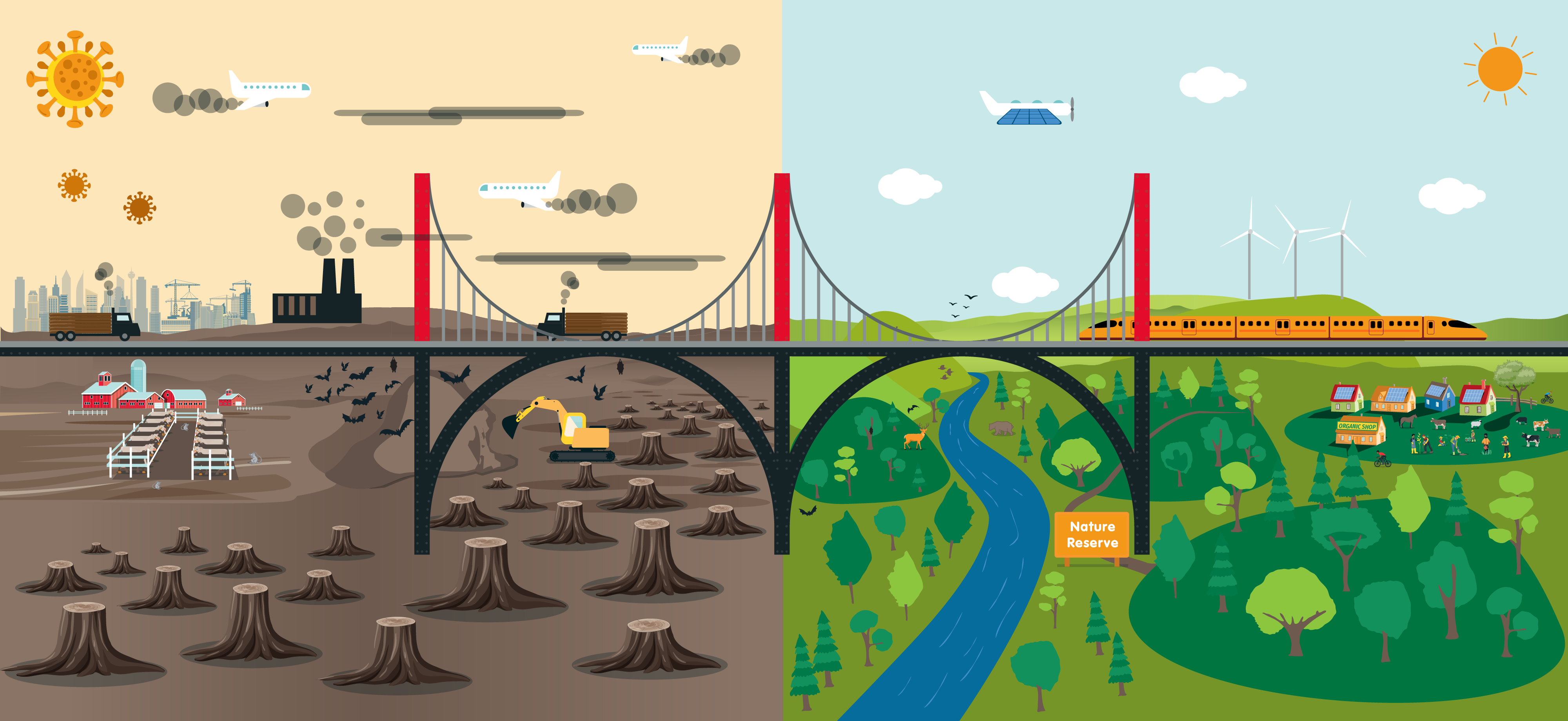 Biodiversity and sustainability’s role in preventing pandemics