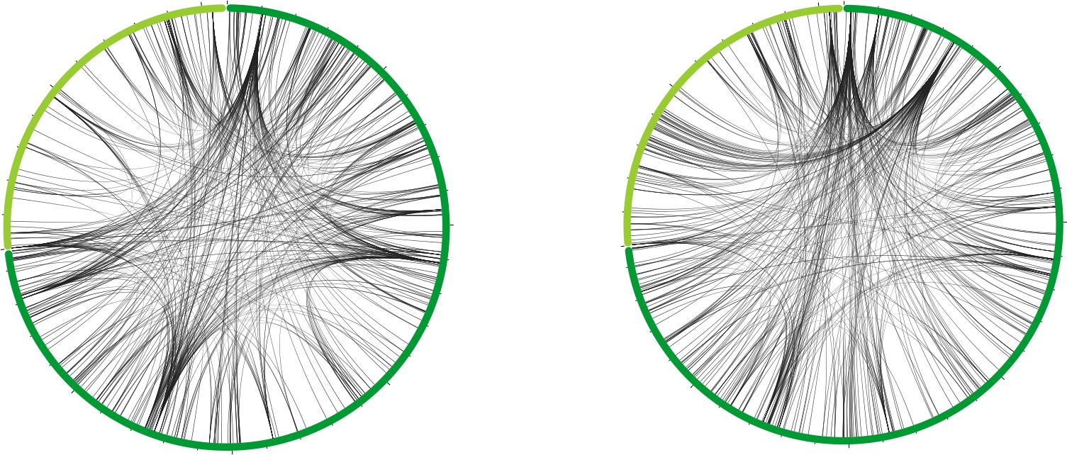 An RNA sponge modulates quorum sensing dynamics