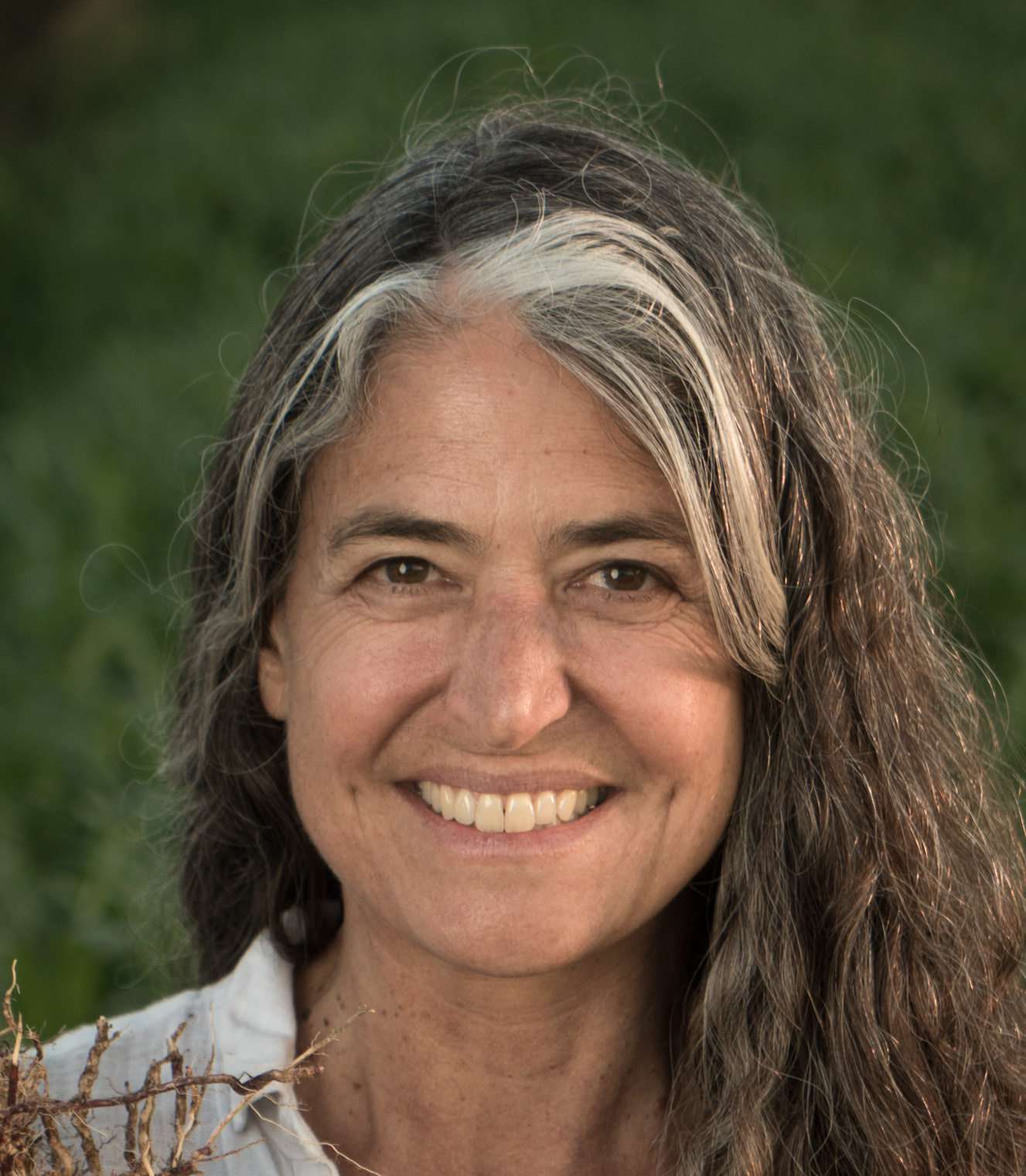 Go to the profile of Deborah Bossio