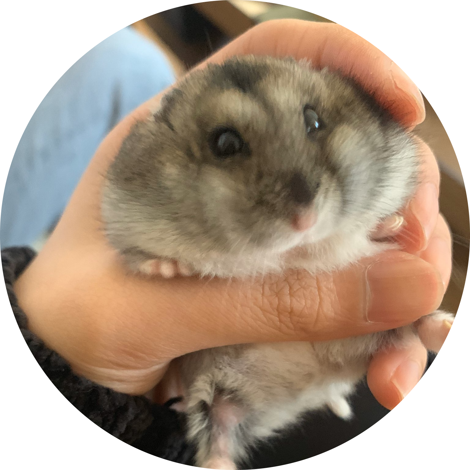 Go to the profile of CharleyXia