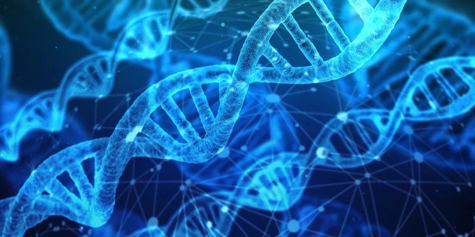 Collaborating constructively for sustainable biotechnology