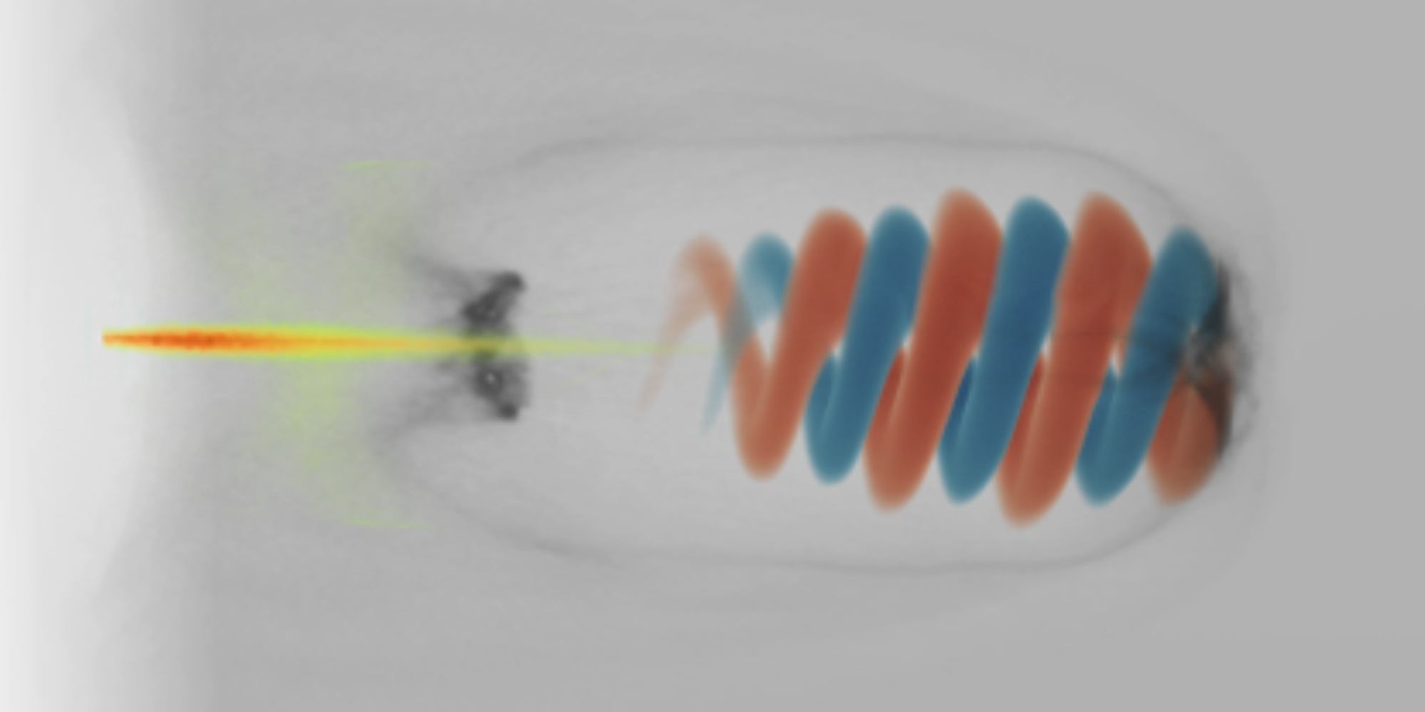 The interaction of vortex light with boron hydrides