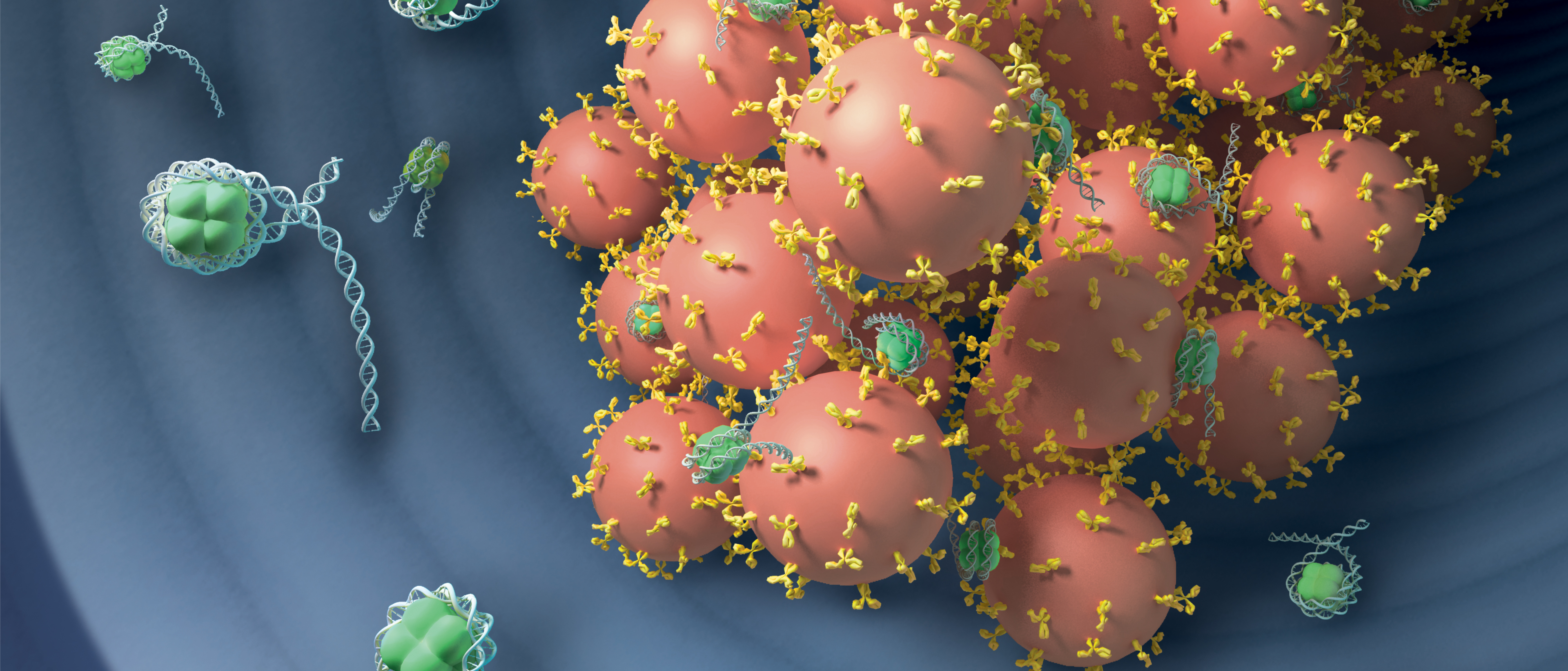 Epigenomics and transcriptomics of inflammation