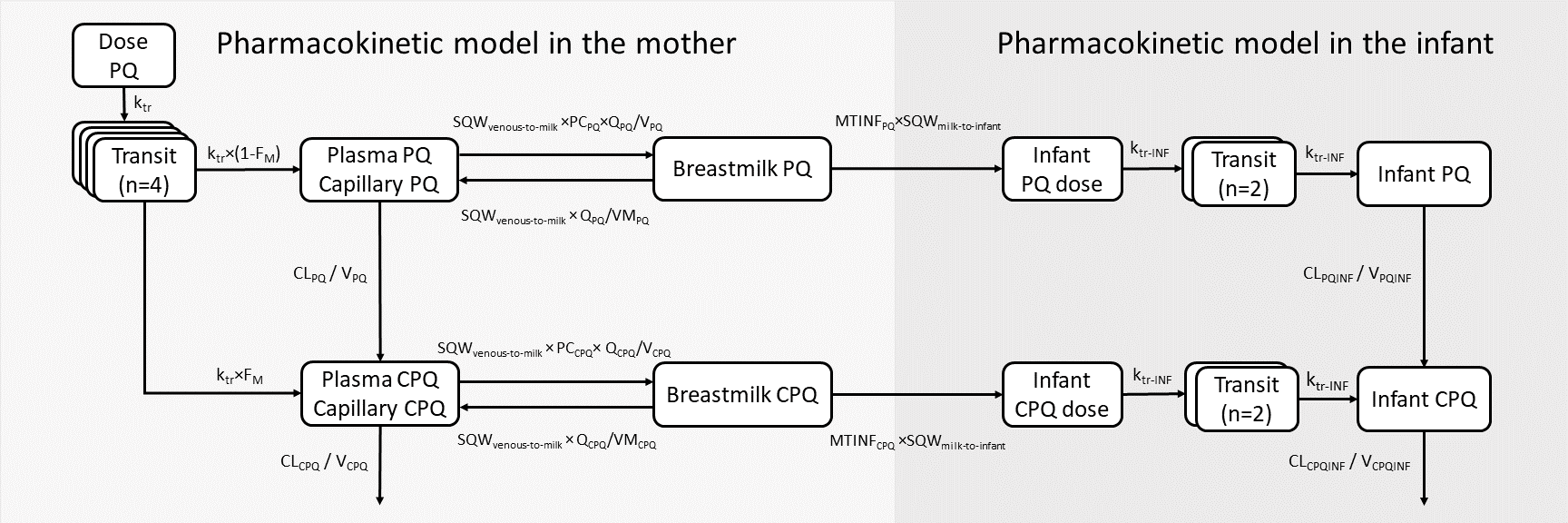Population pharmacokinetic modelling of primaquine exposures in lactating women and breastfed infants
