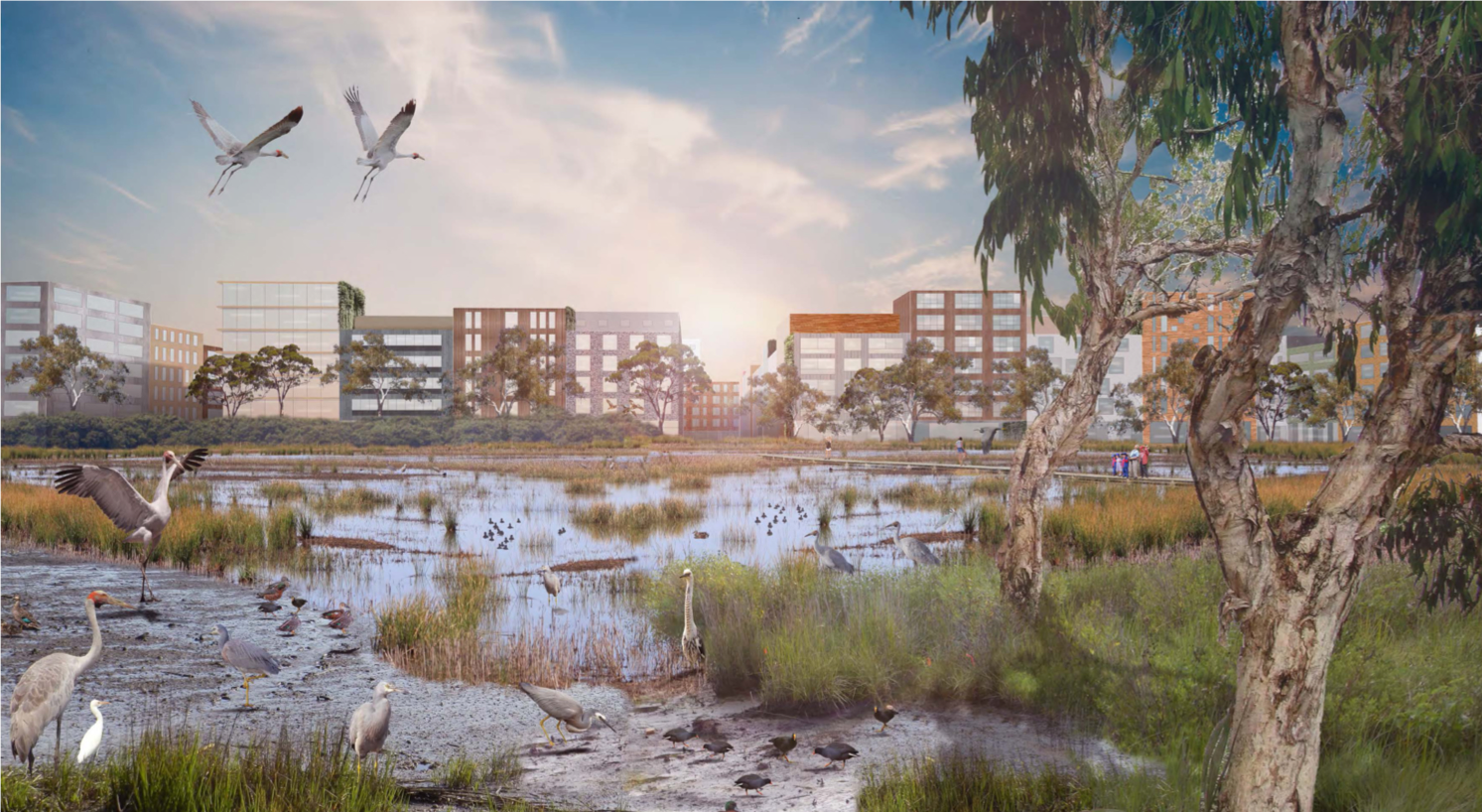 Cities should respond to the biodiversity extinction crisis