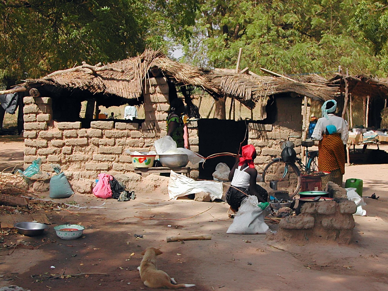 Mosquito nets - what happens next? 