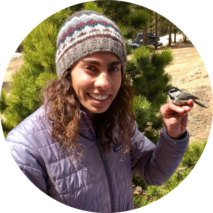 Go to the profile of Sheela Turbek