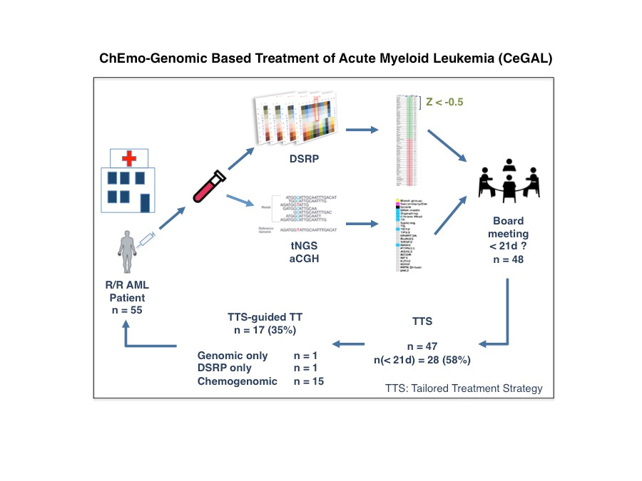 A chemogenomic approach to identify personalized therapy for patients with relapse or refractory acute myeloid leukemia: results of a prospective feasibility study