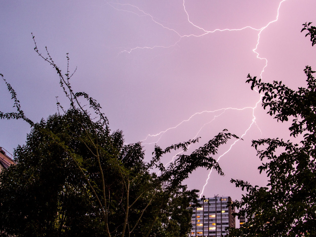 Gamma-ray Emission Predictive of Photonuclear Reactions in Lightning