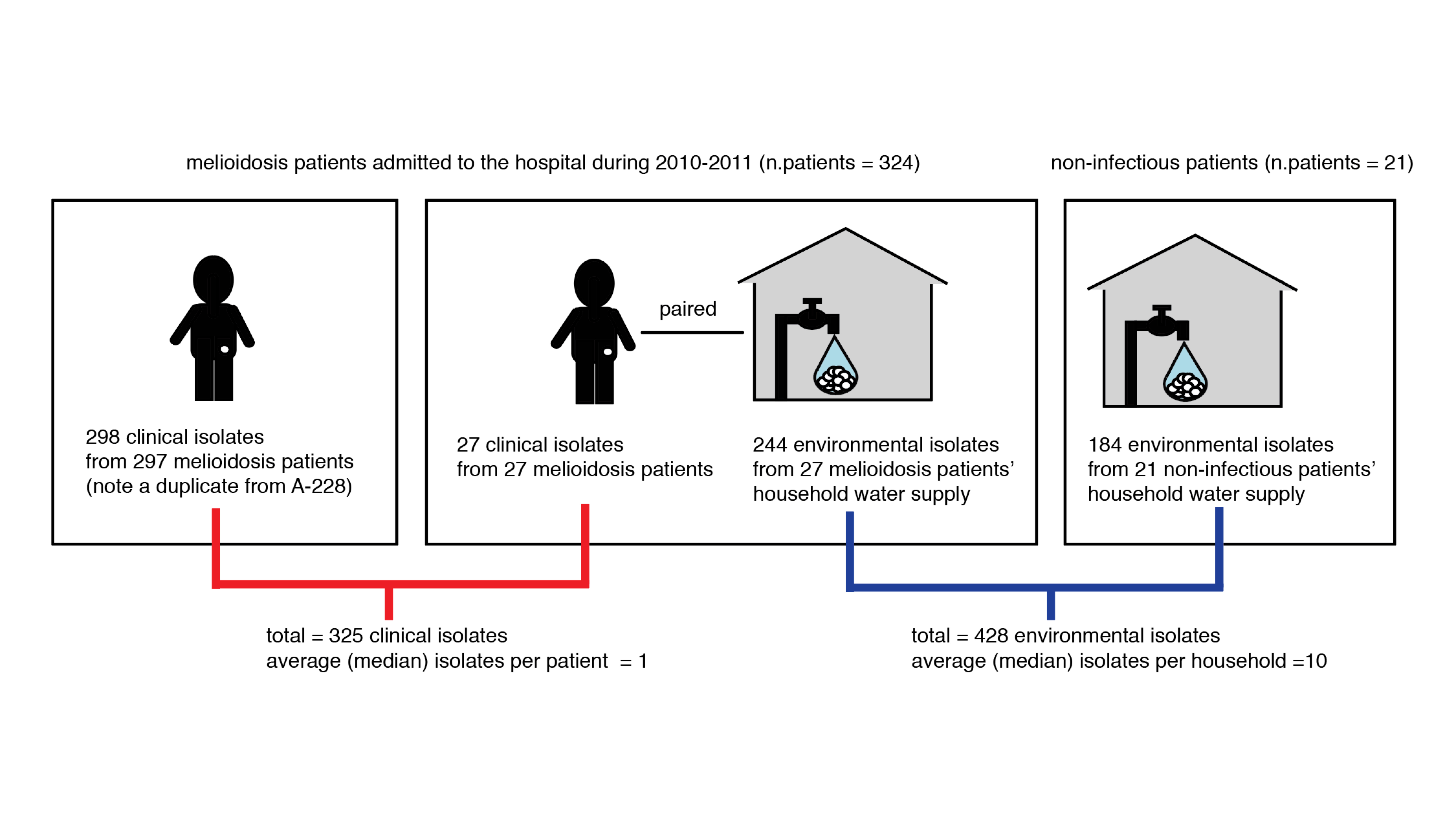 Comparing the genome of a deadly bacterium isolated from patients and their environment 