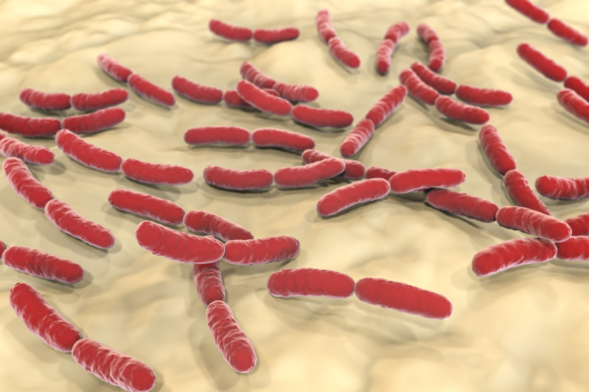 Call for papers: The reproductive microbiome Collection
