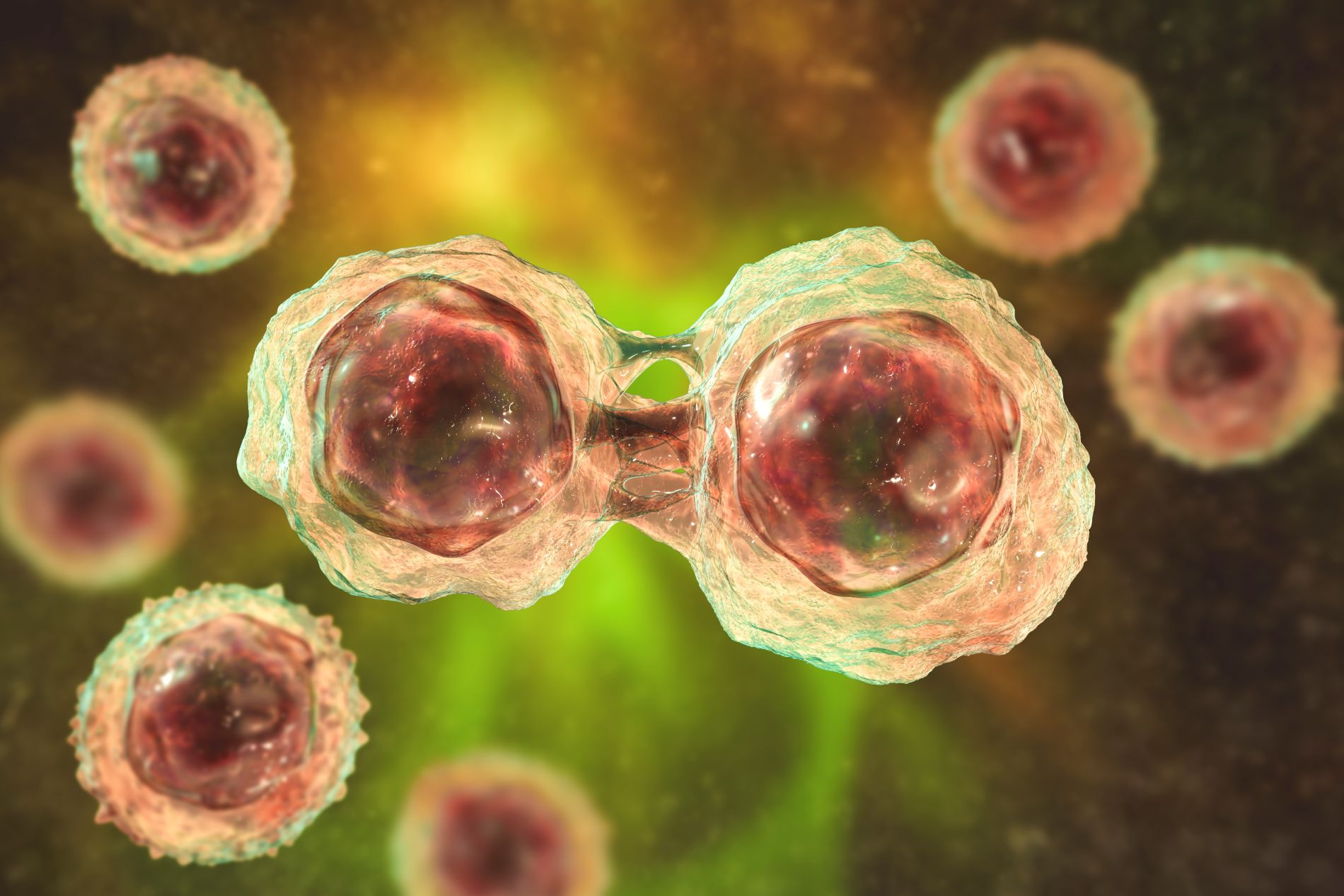 Call for papers: Pluripotency, differentiation, and reprogramming Collection 