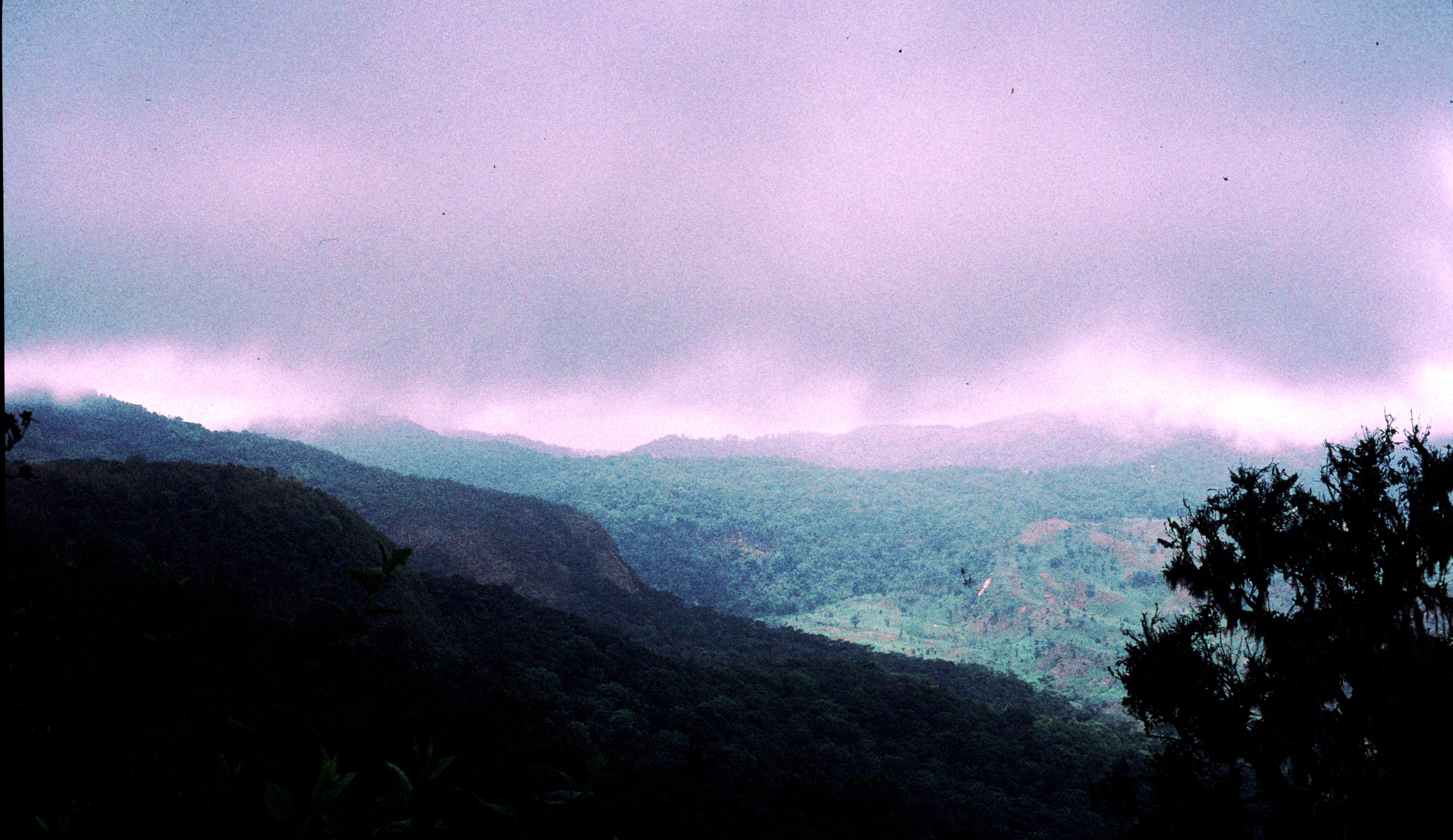 Humboldt's climate change vision in the African mountains
