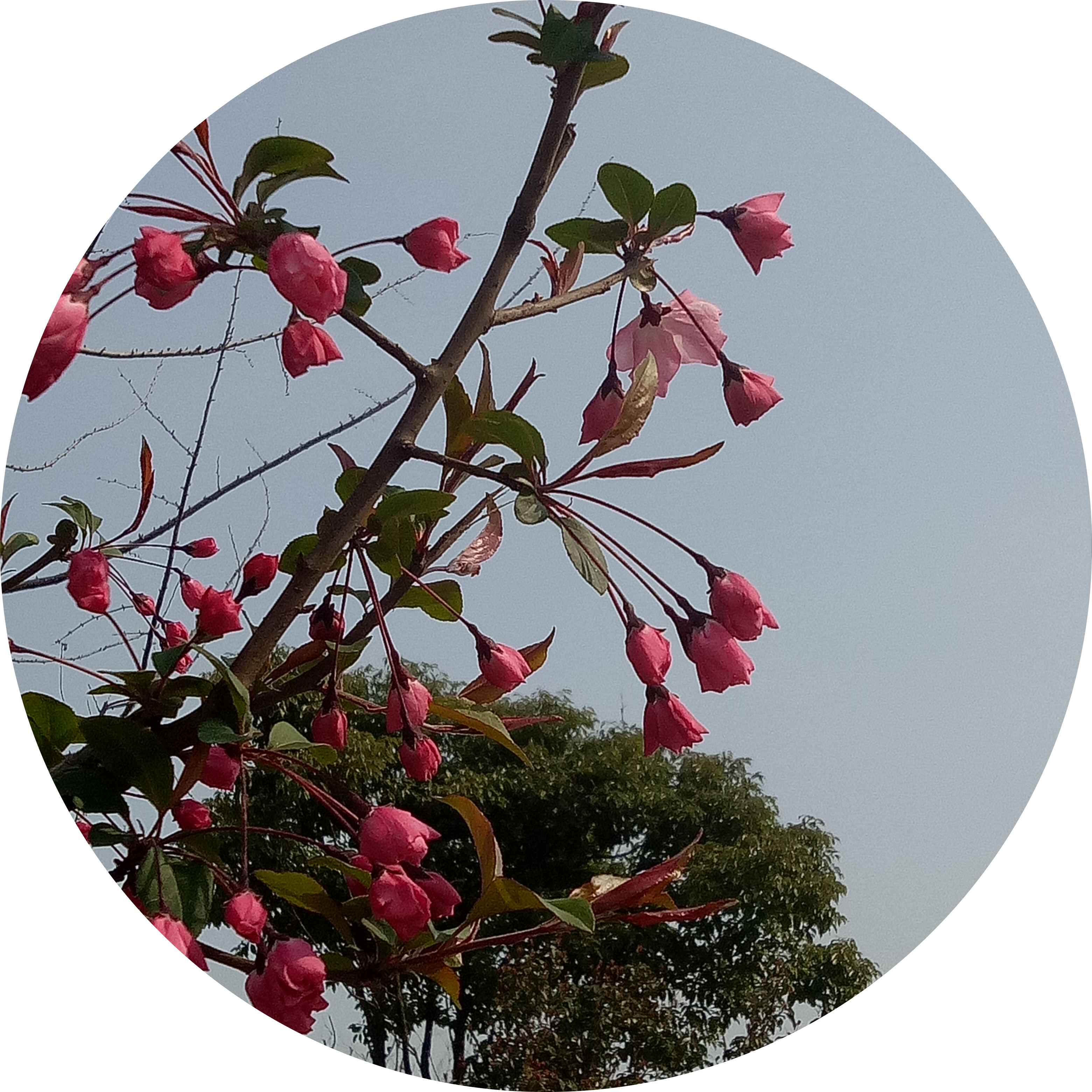 Go to the profile of Zhigang Hu