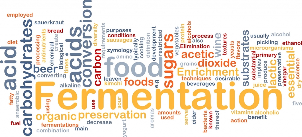 Fermented formula for the right kick-start