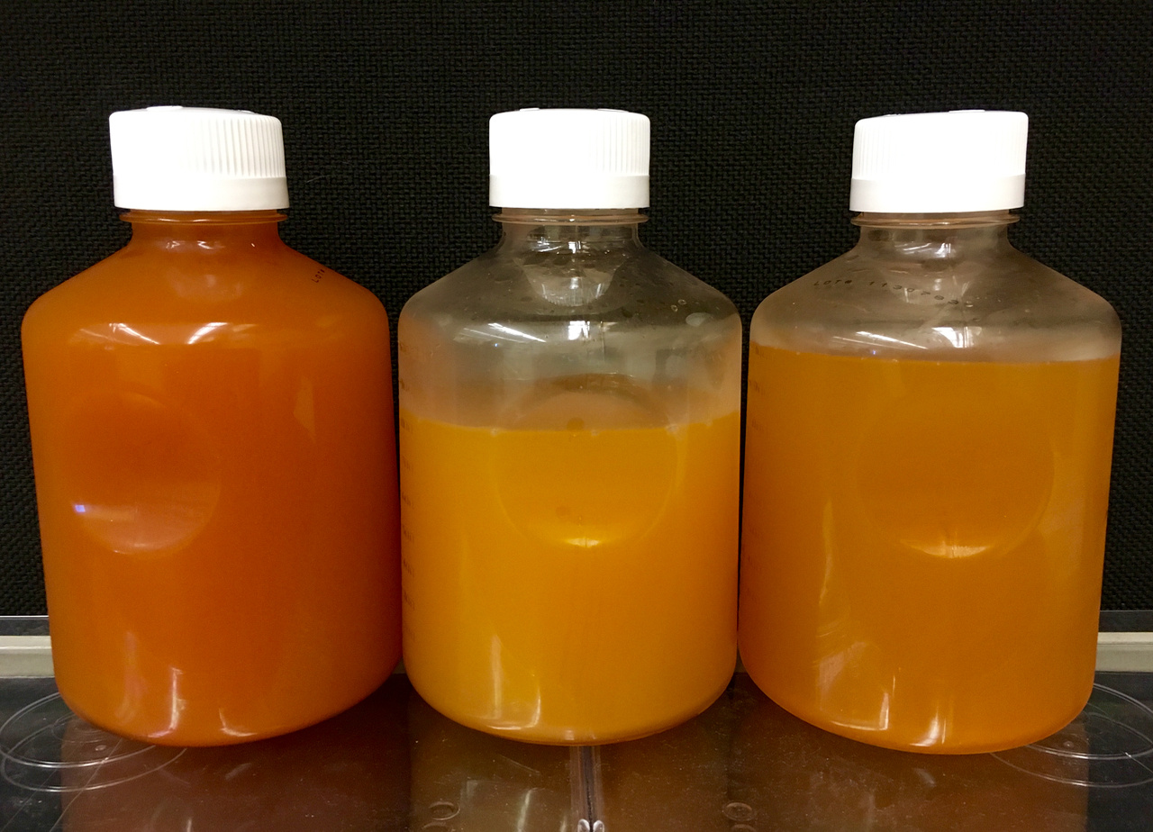 Frackibacter:  New genus of bacteria discovered