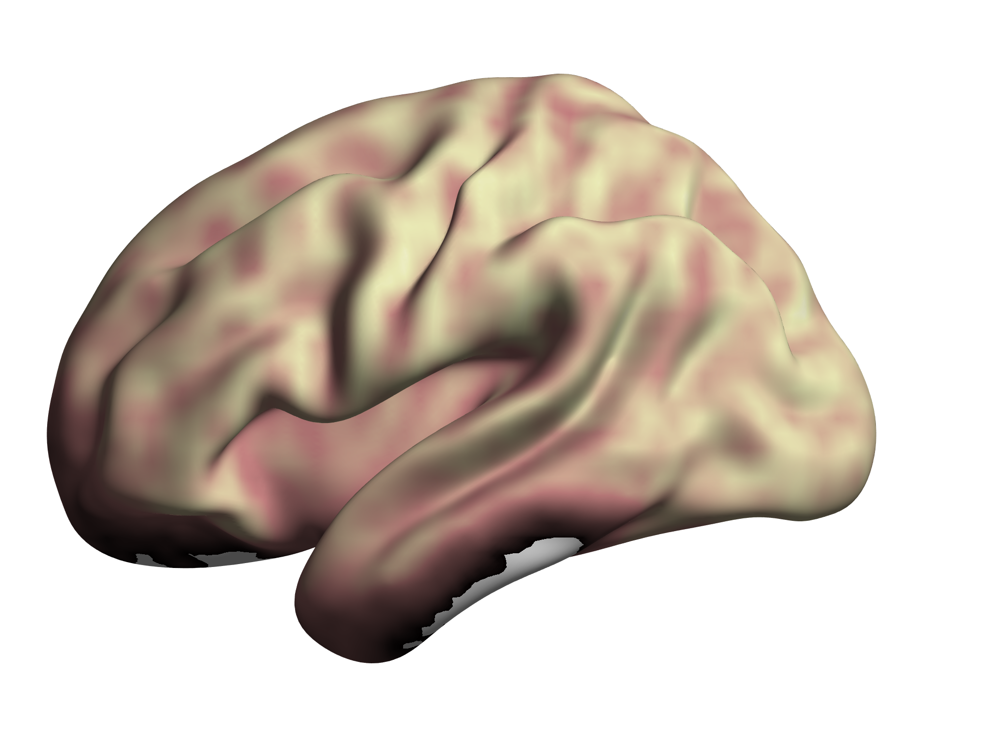 An fMRI Dataset for Concept Representation with Semantic Feature Annotations