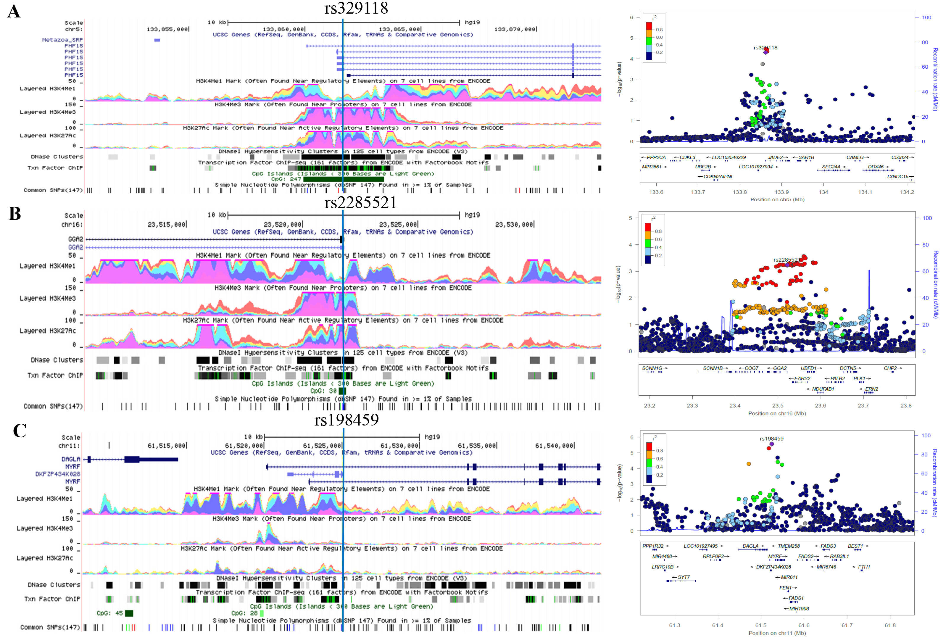 Three RNA splicing-related genetic variants and lung cancer risk: Results from the TRICL-ILCCO and OncoArray projects
