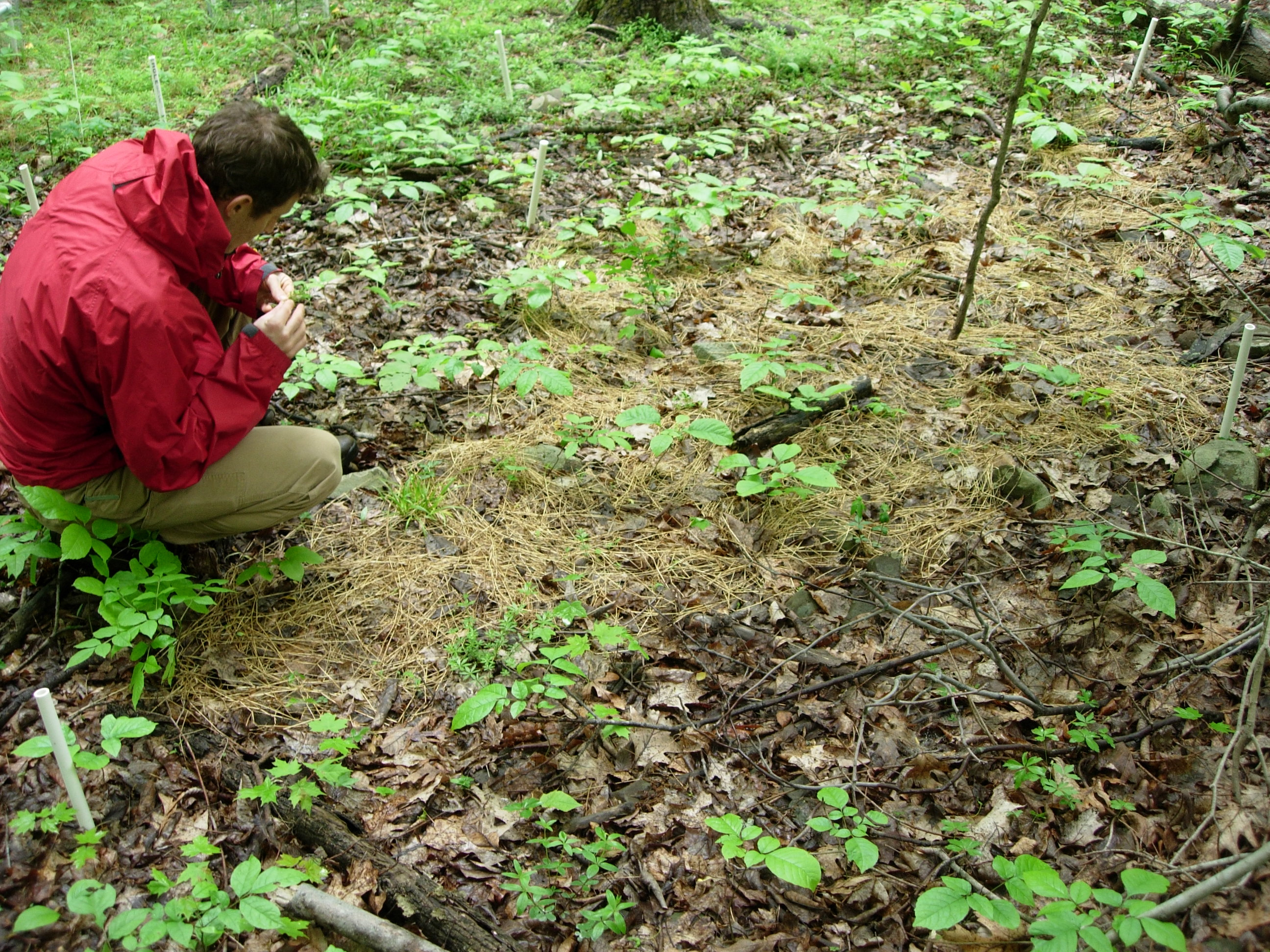 Go to the profile of Mark A. Bradford