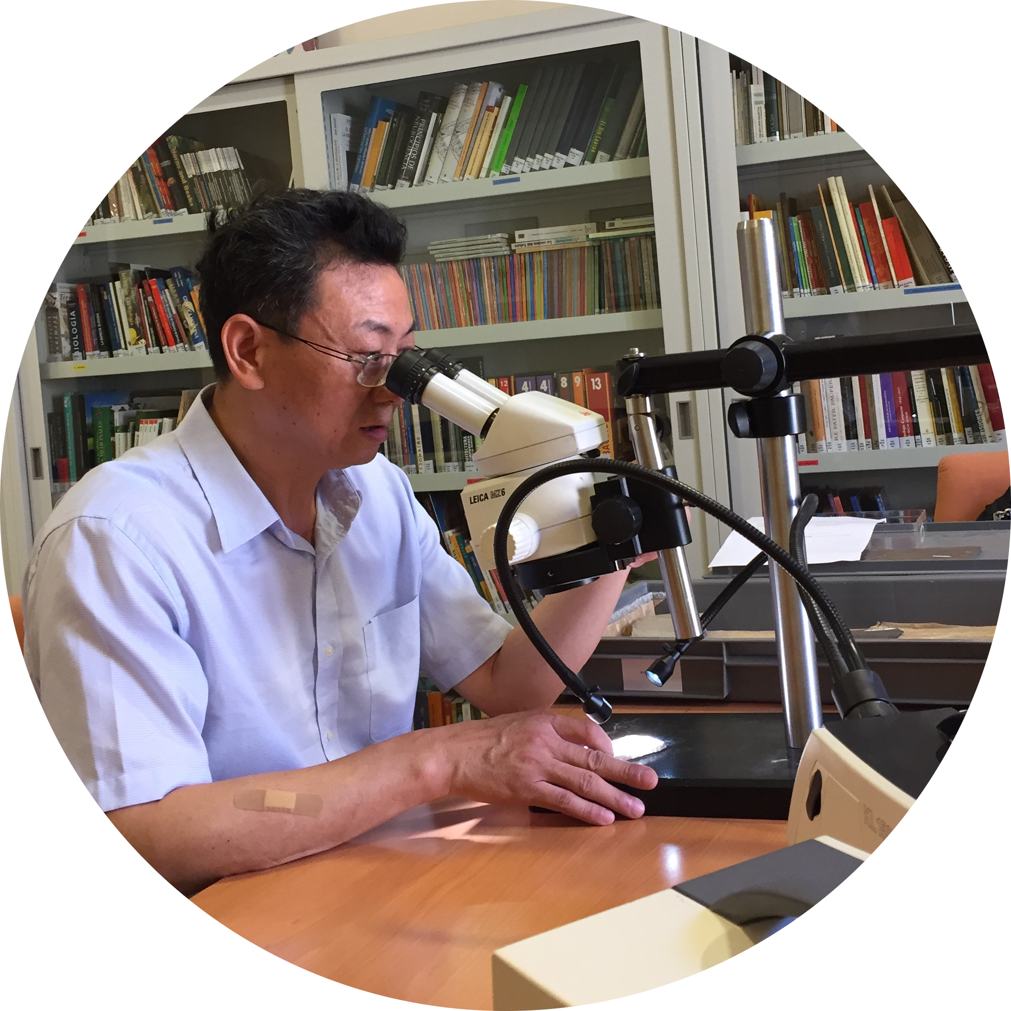 Go to the profile of Zhonghe Zhou