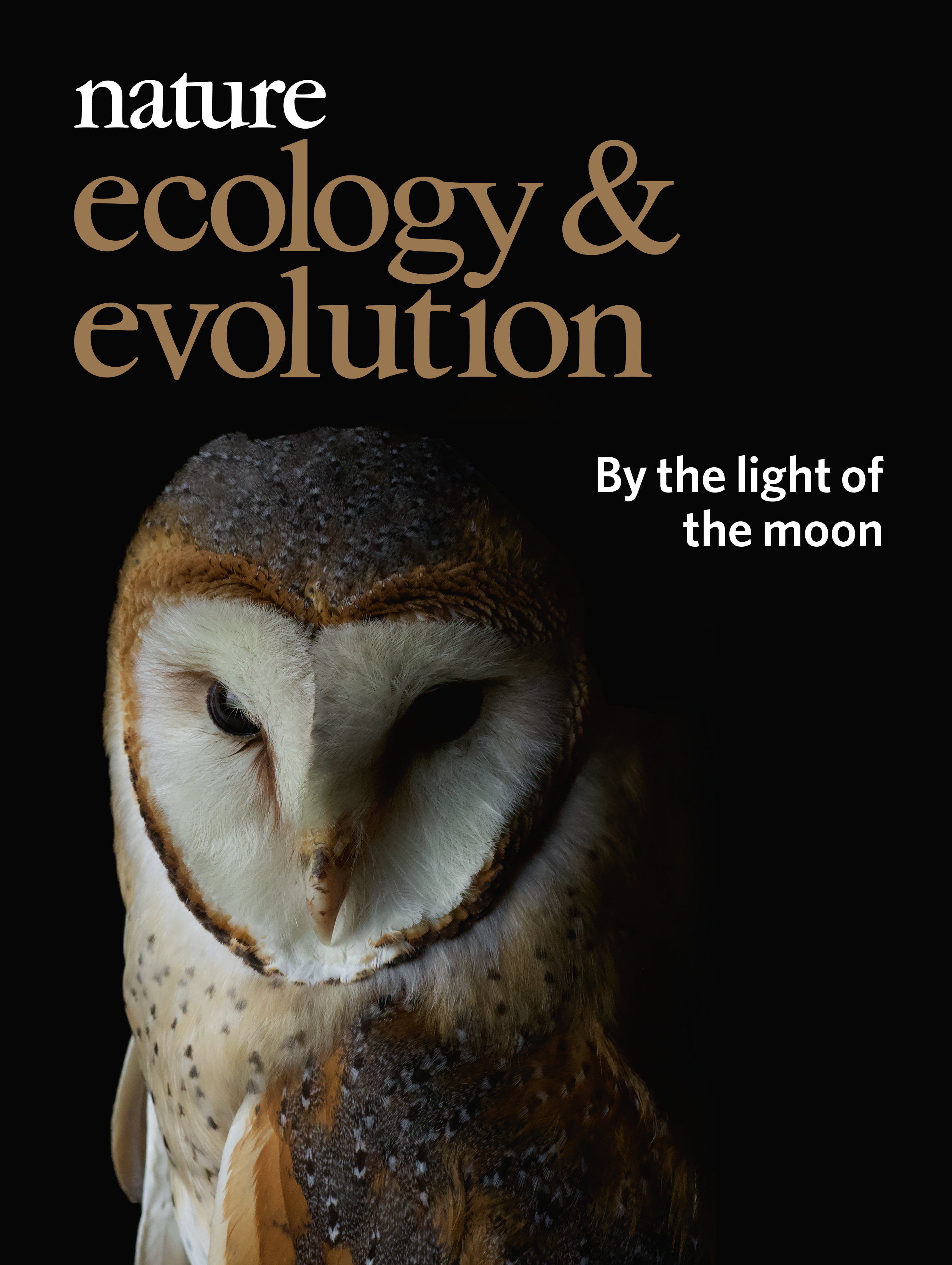 Gallery | September 2019 cover