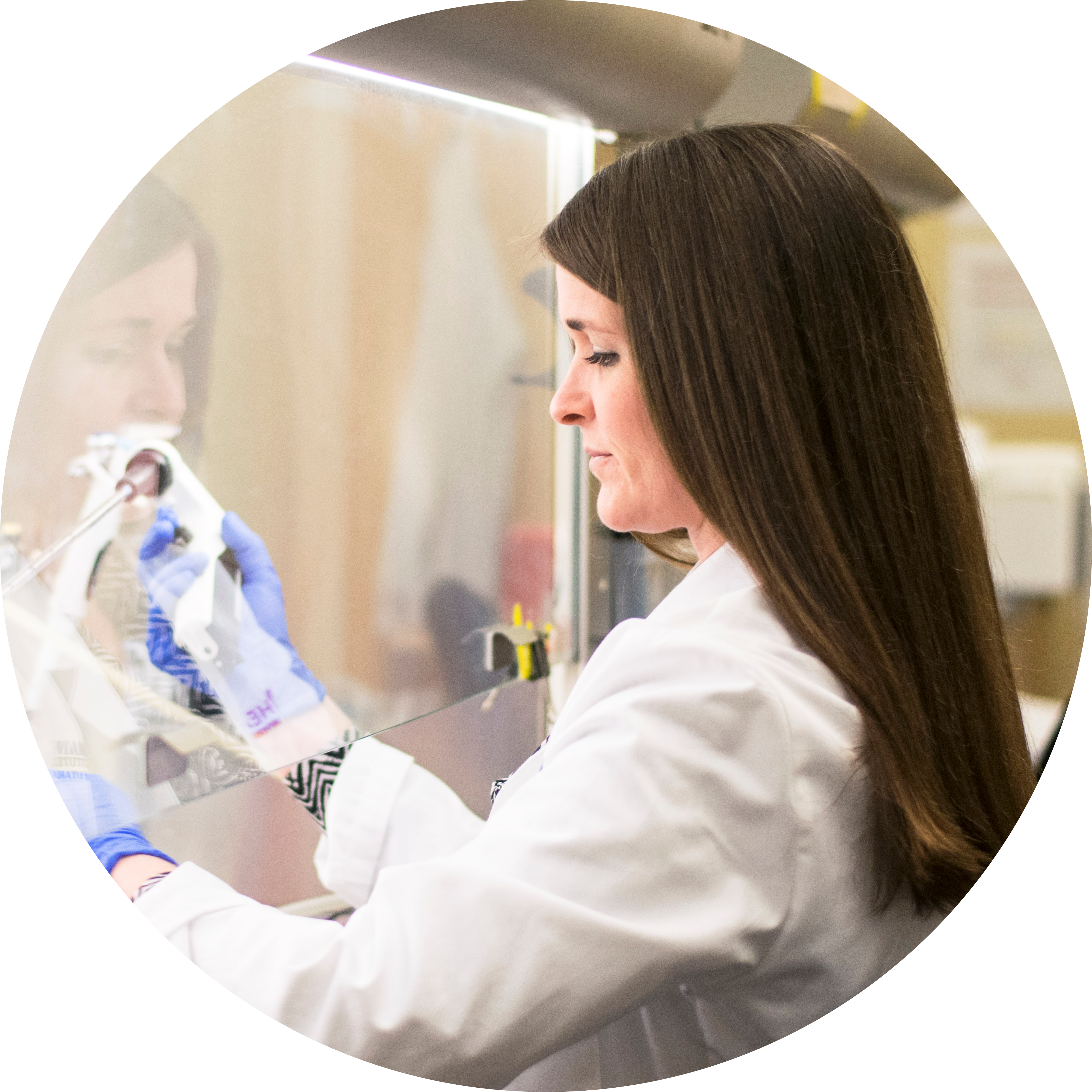 Go to the profile of Anna M. Eiring