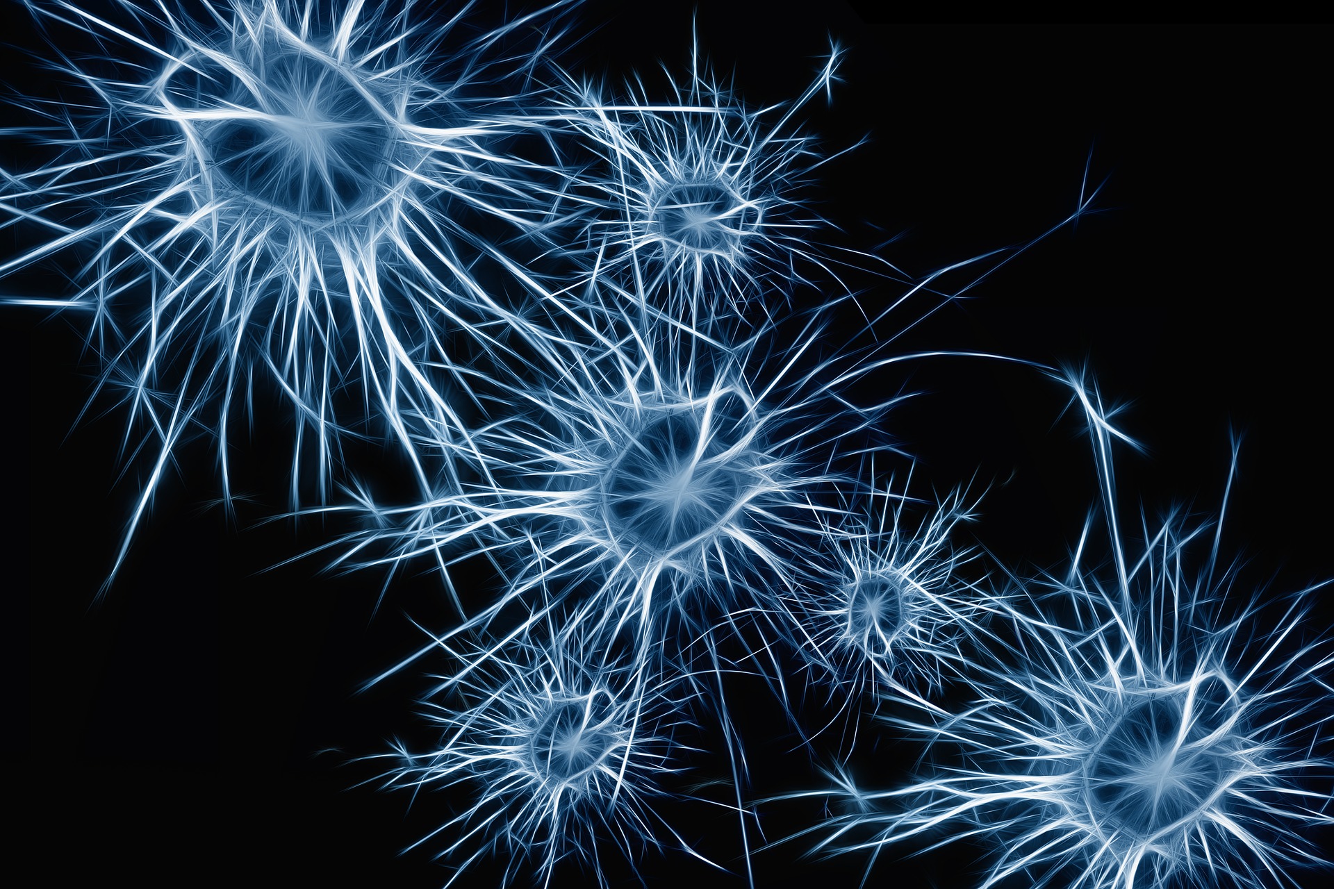 A novel approach to studying the human brain