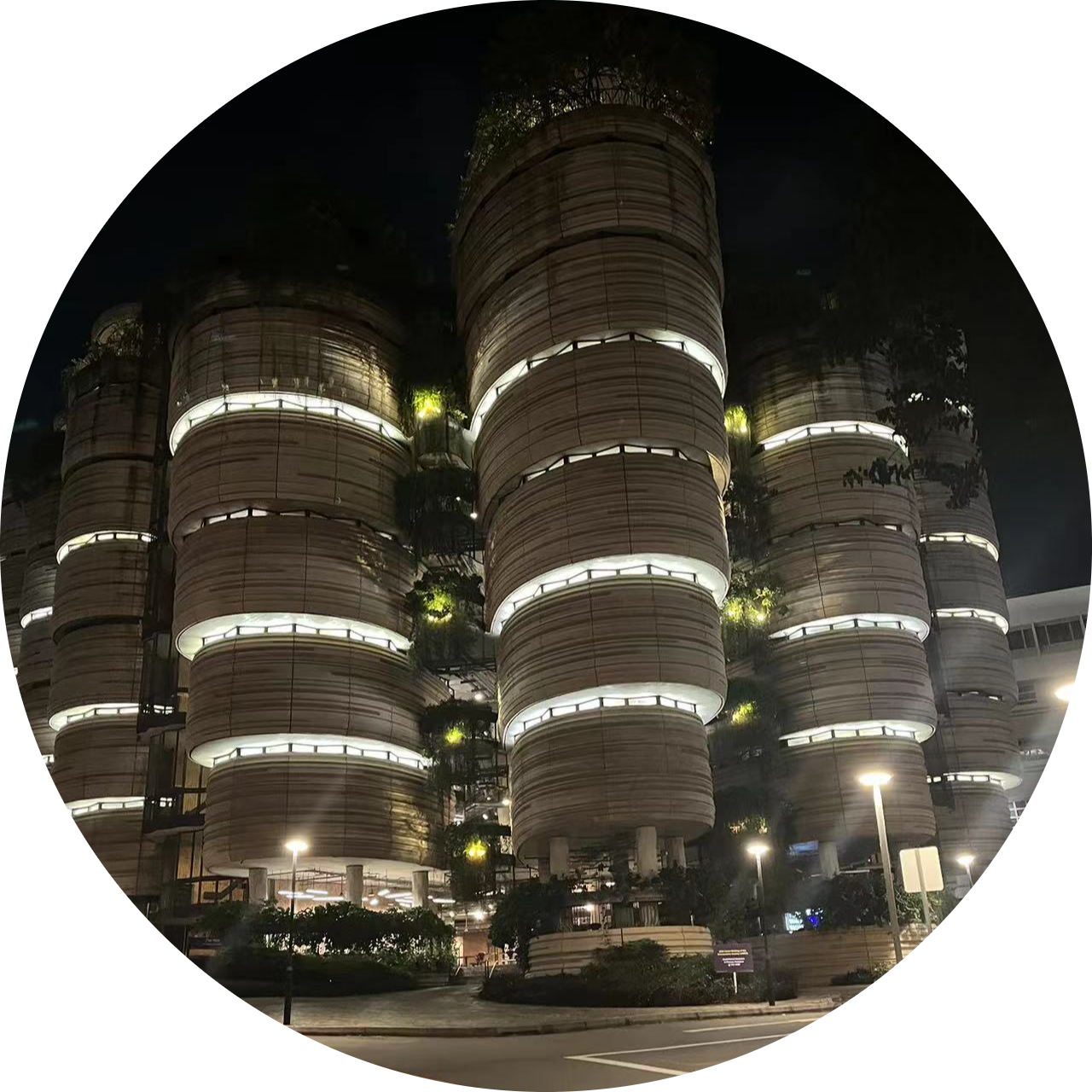 Go to the profile of WANG HE