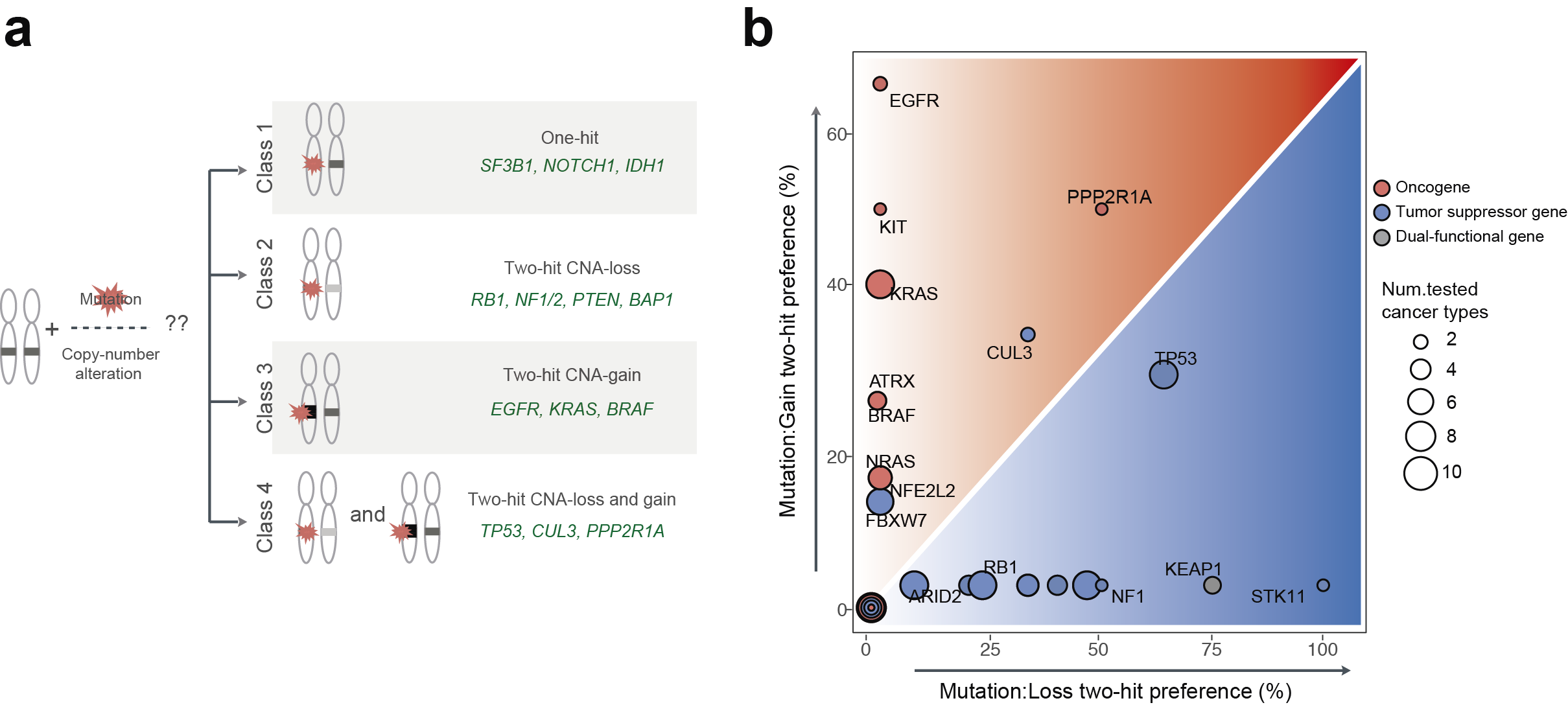 Higher order genetic interactions switch cancer genes from two-hit to one-hit drivers