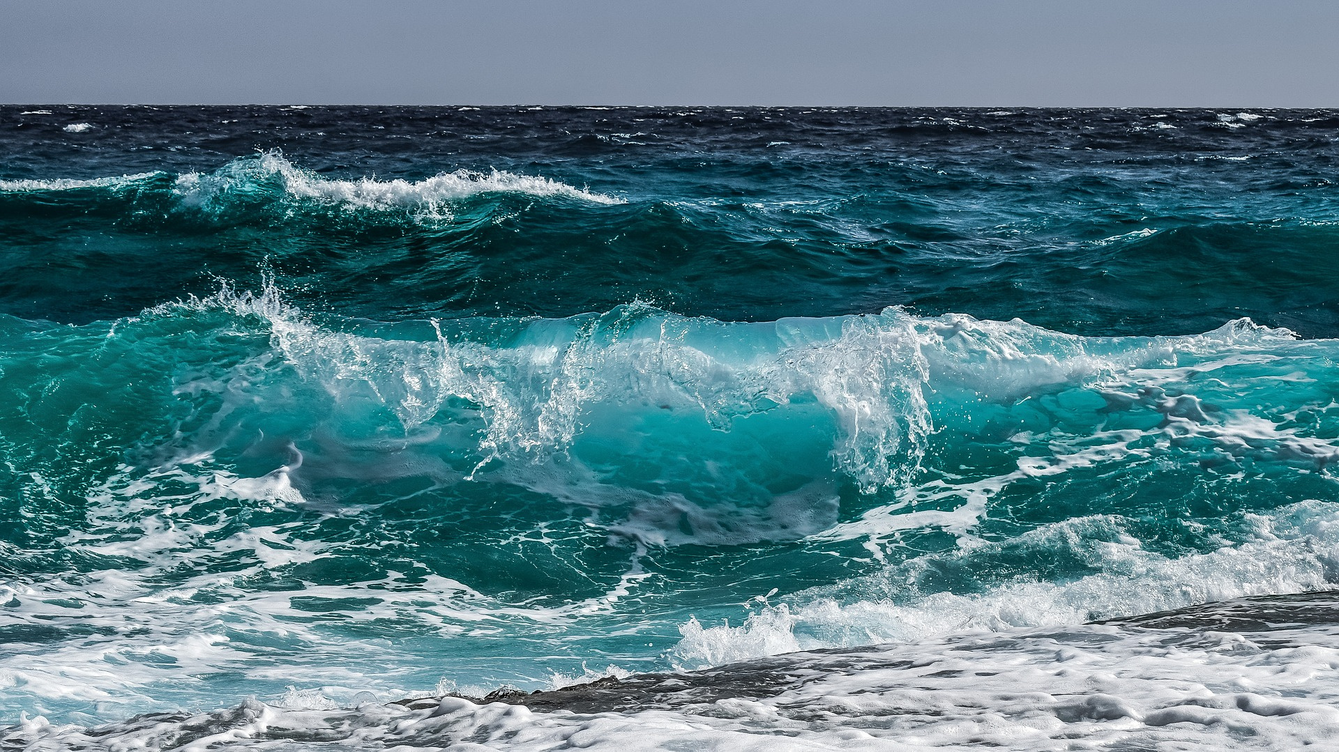 Highlights from across our Communities for World Oceans Day
