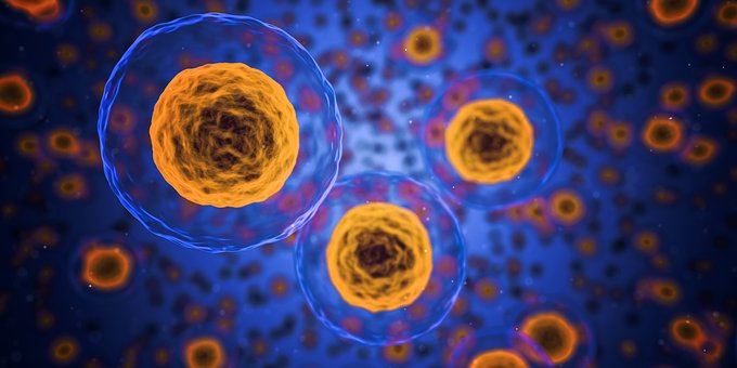 The FDA Unanimously Recommends Approval of the First CAR-T Therapy