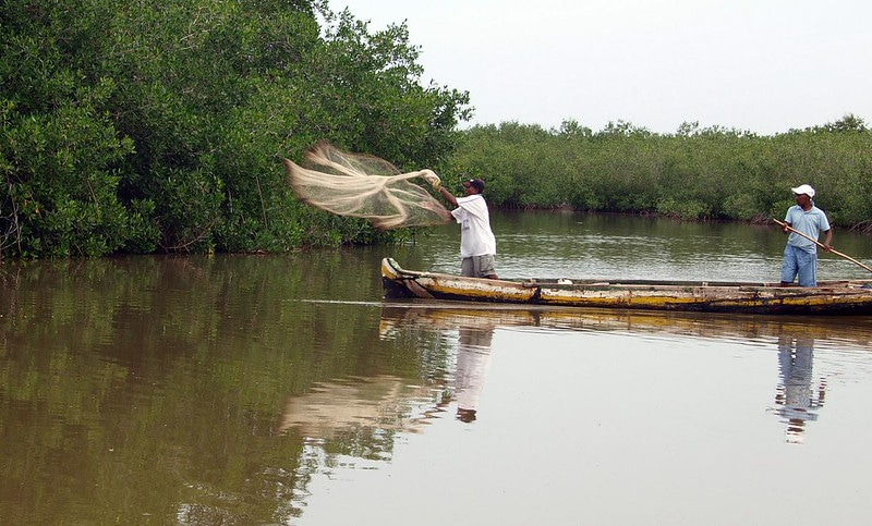 How is biodiversity governed? The case of Colombia