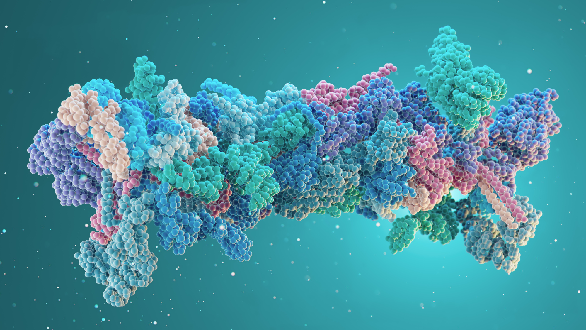 Call for papers: Biophysical and Structural Principles of Cancer Cell Behaviour