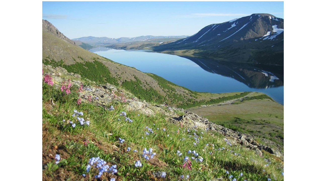 An ancient DNA record identifies the drivers of arctic plant community change