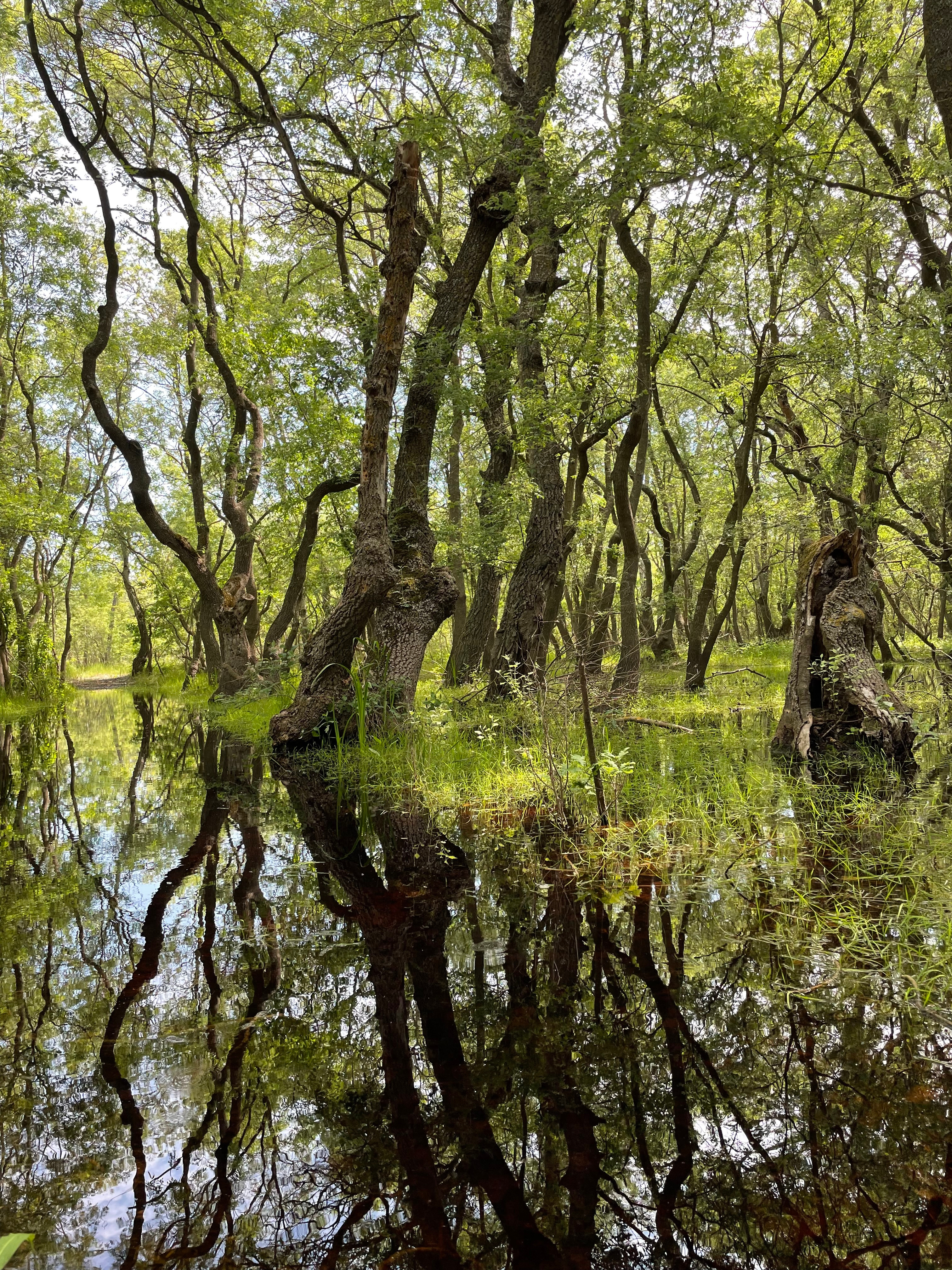 A PhD journey to assess the effectiveness of biosphere reserves worldwide