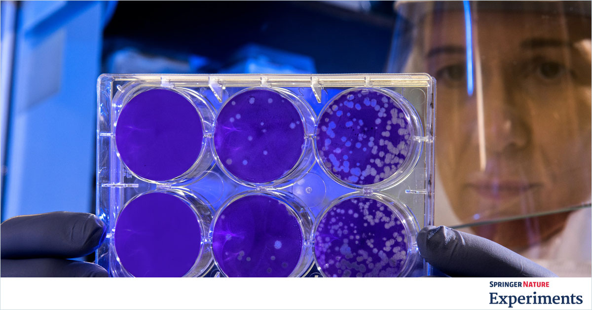 Organisms and Cell lines on Springer Nature Experiments