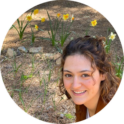 Go to the profile of Arianna Weingarten