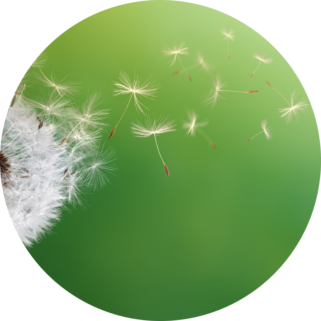 Go to the profile of Zhipeng Liu