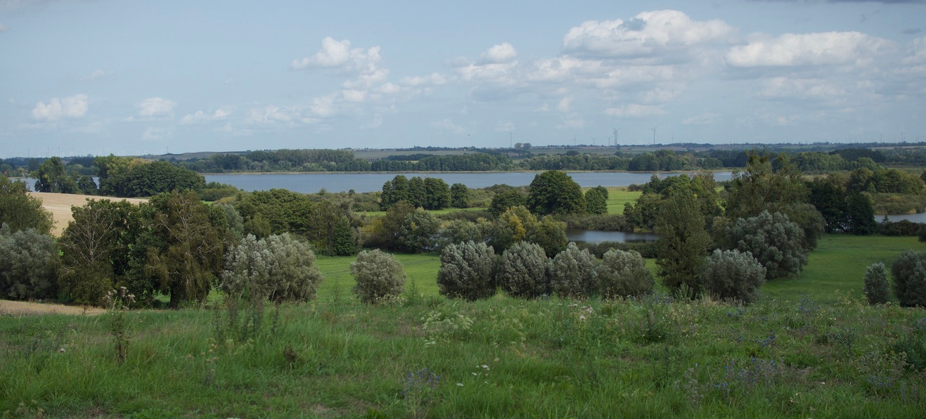 Landscape intensification and the belowground diversity of agroecosystems
